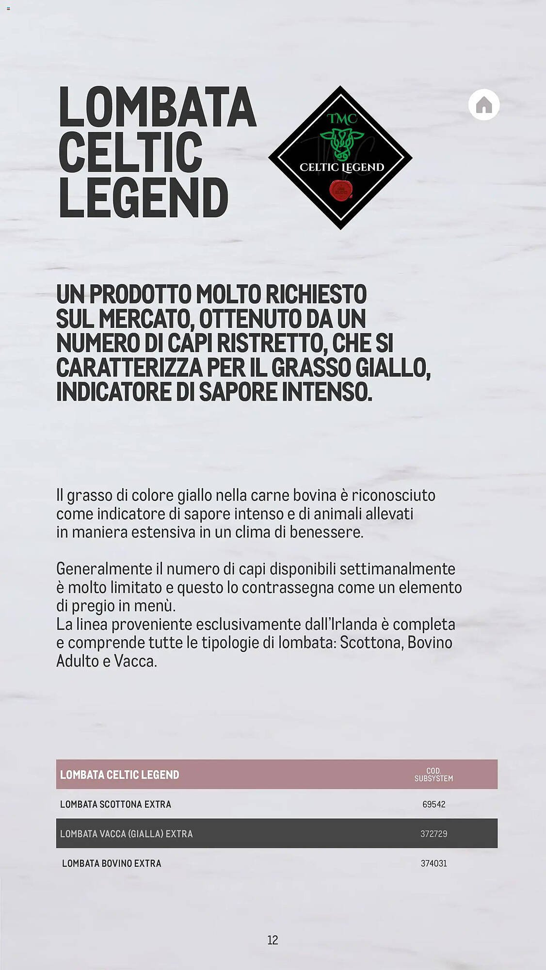 Volantino Metro (2025-11-26 - 2026-10-30)