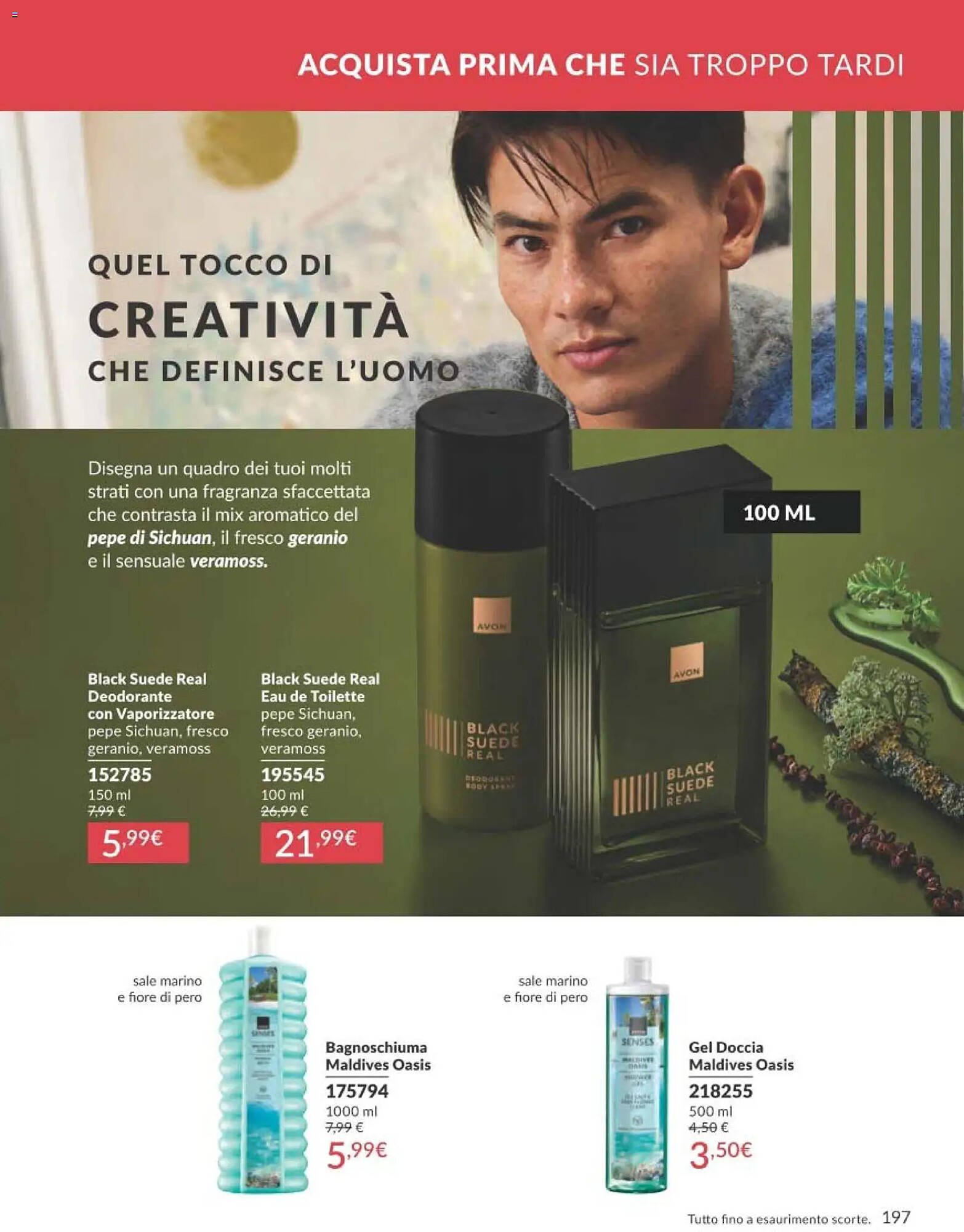 Catalogo Avon (2025-12-01 - 2025-12-30)