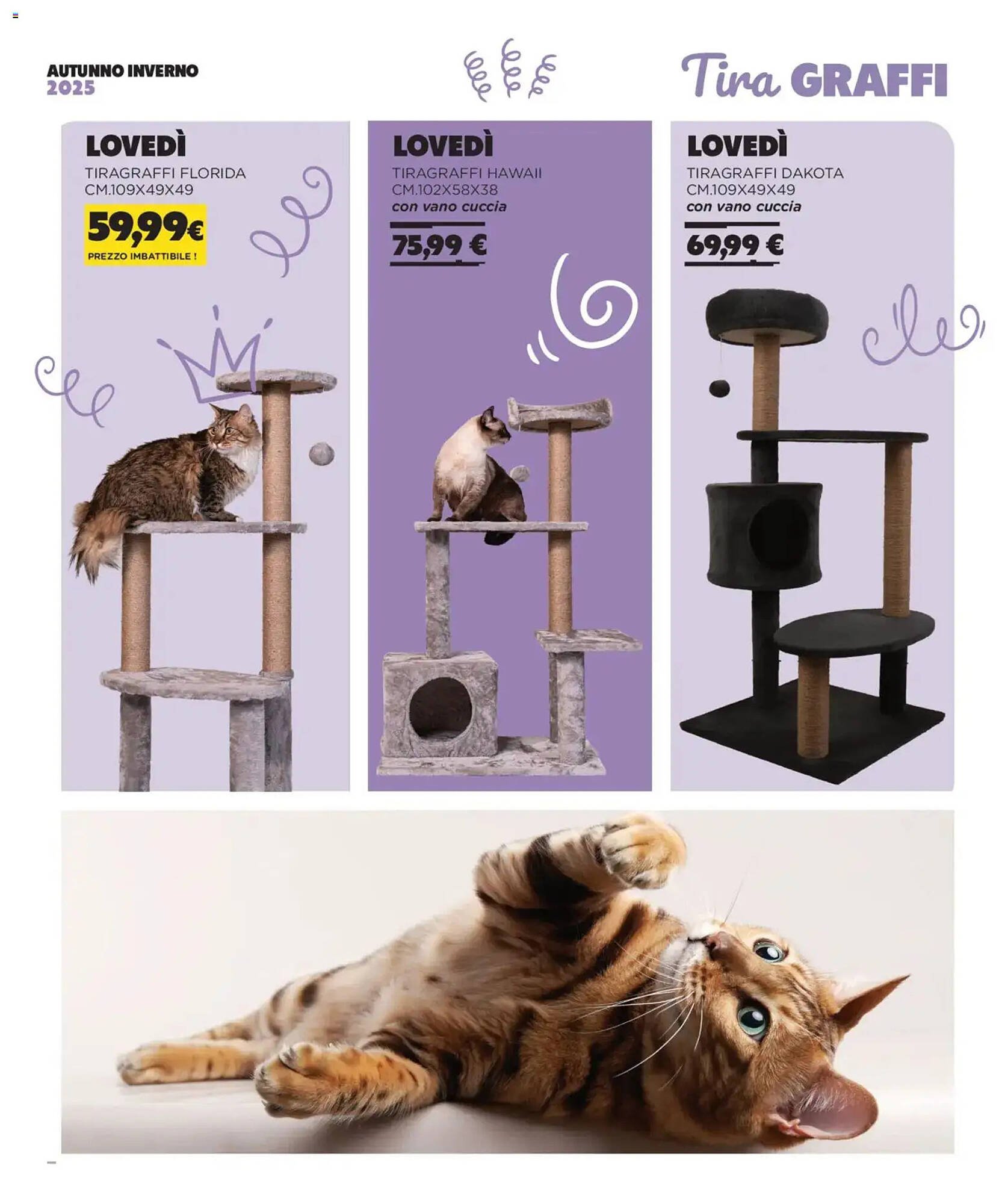 Volantino Arcaplanet (2025-11-01 - 2026-02-28)