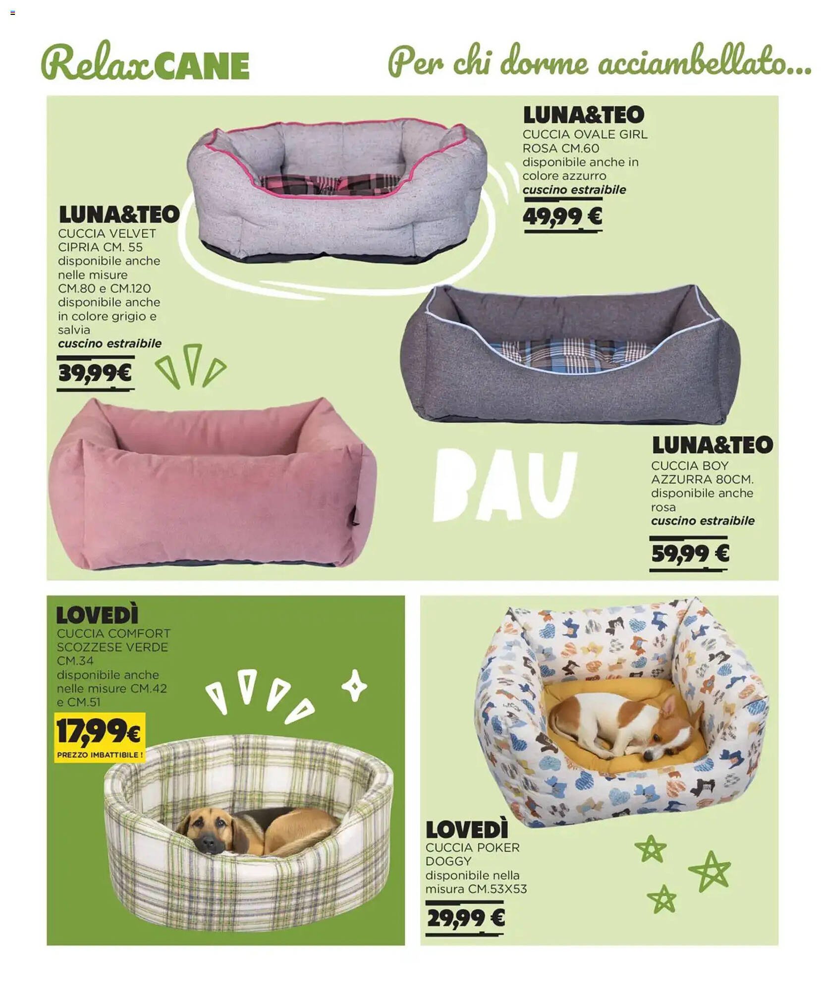 Volantino Arcaplanet (2025-11-01 - 2026-02-28)