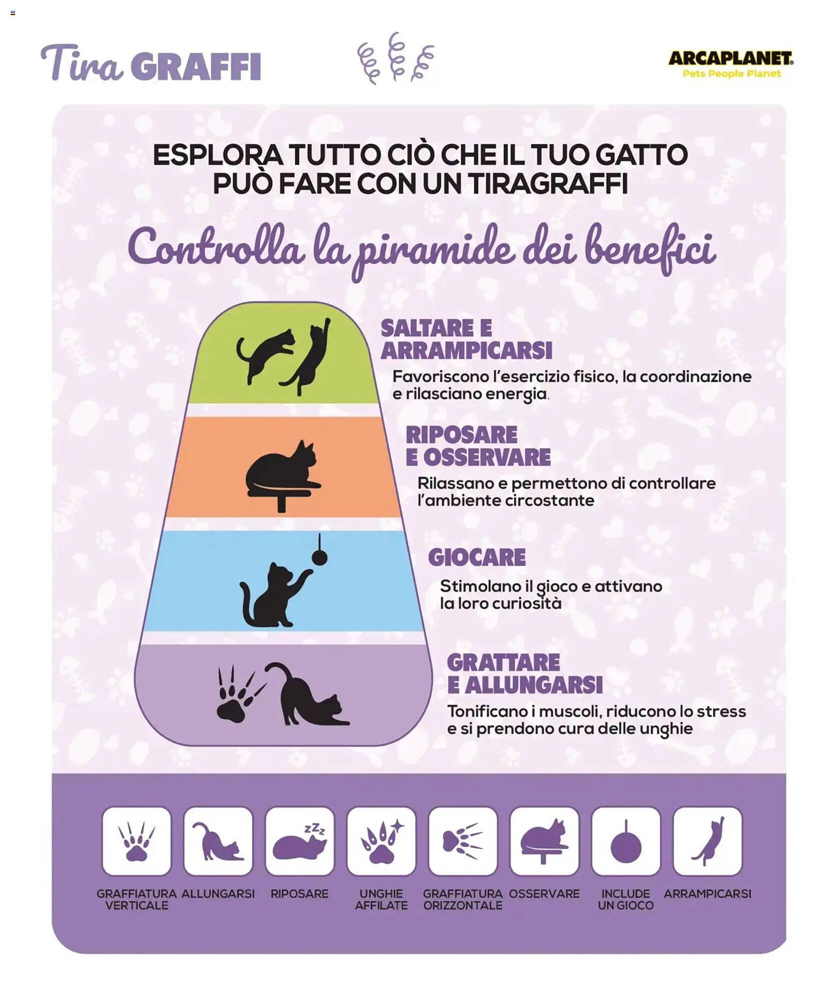 Volantino Arcaplanet (2025-11-01 - 2026-02-28)