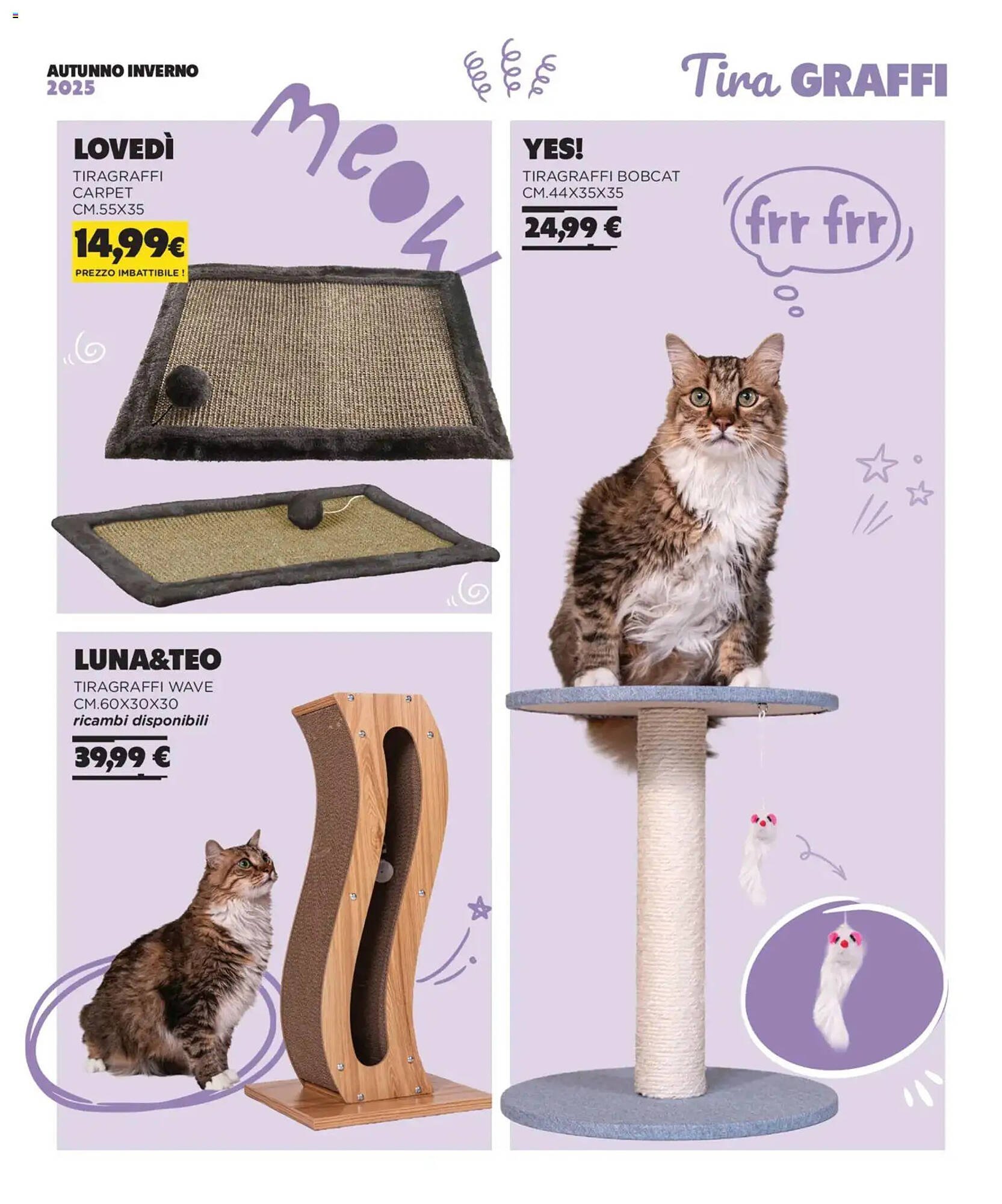 Volantino Arcaplanet (2025-11-01 - 2026-02-28)