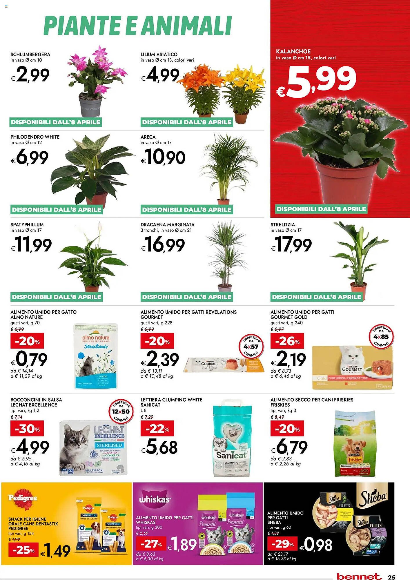 Volantino Bennet (2026-04-07 - 2026-04-22)