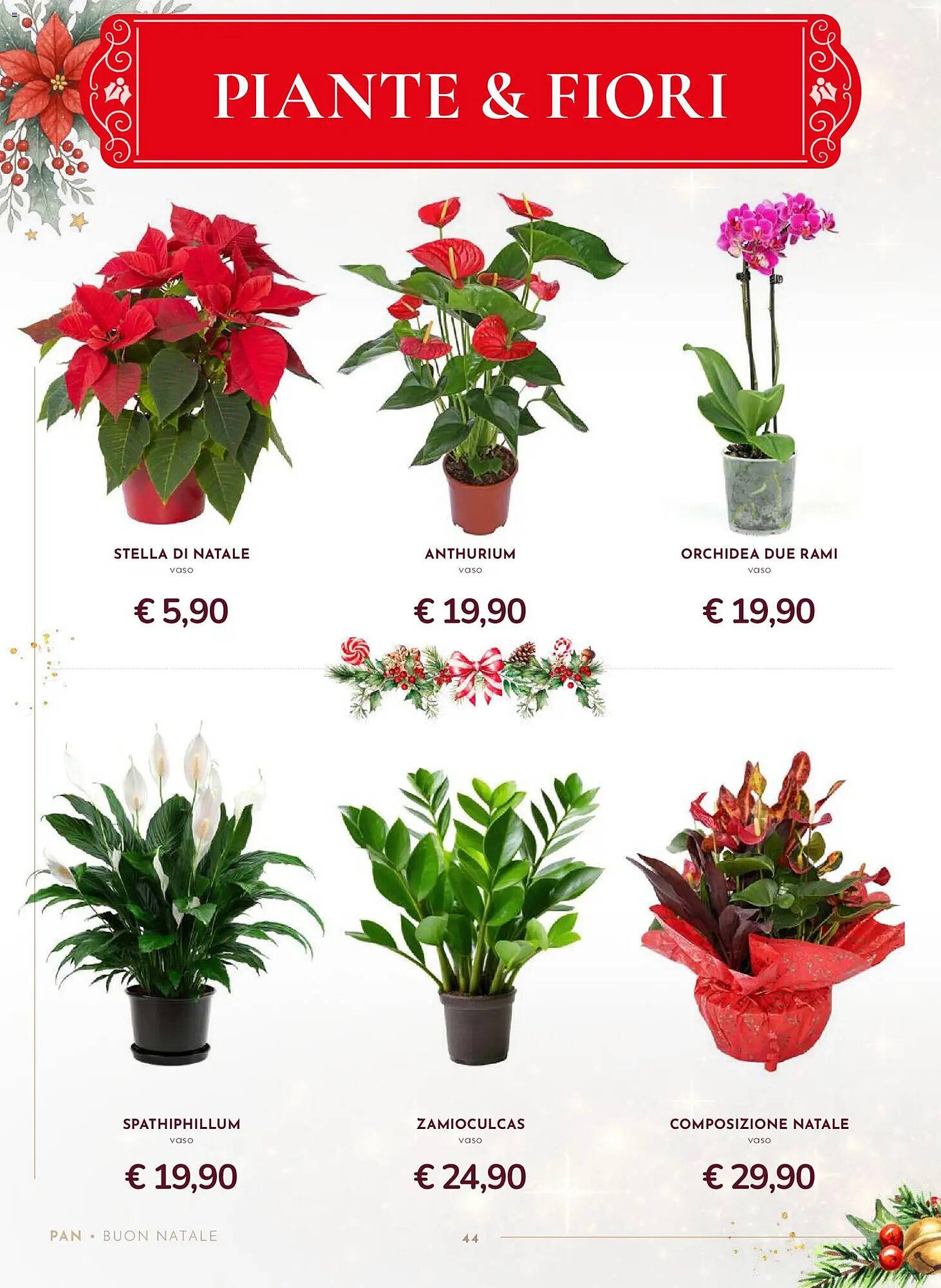 Volantino Pan (2025-11-13 - 2025-12-26)