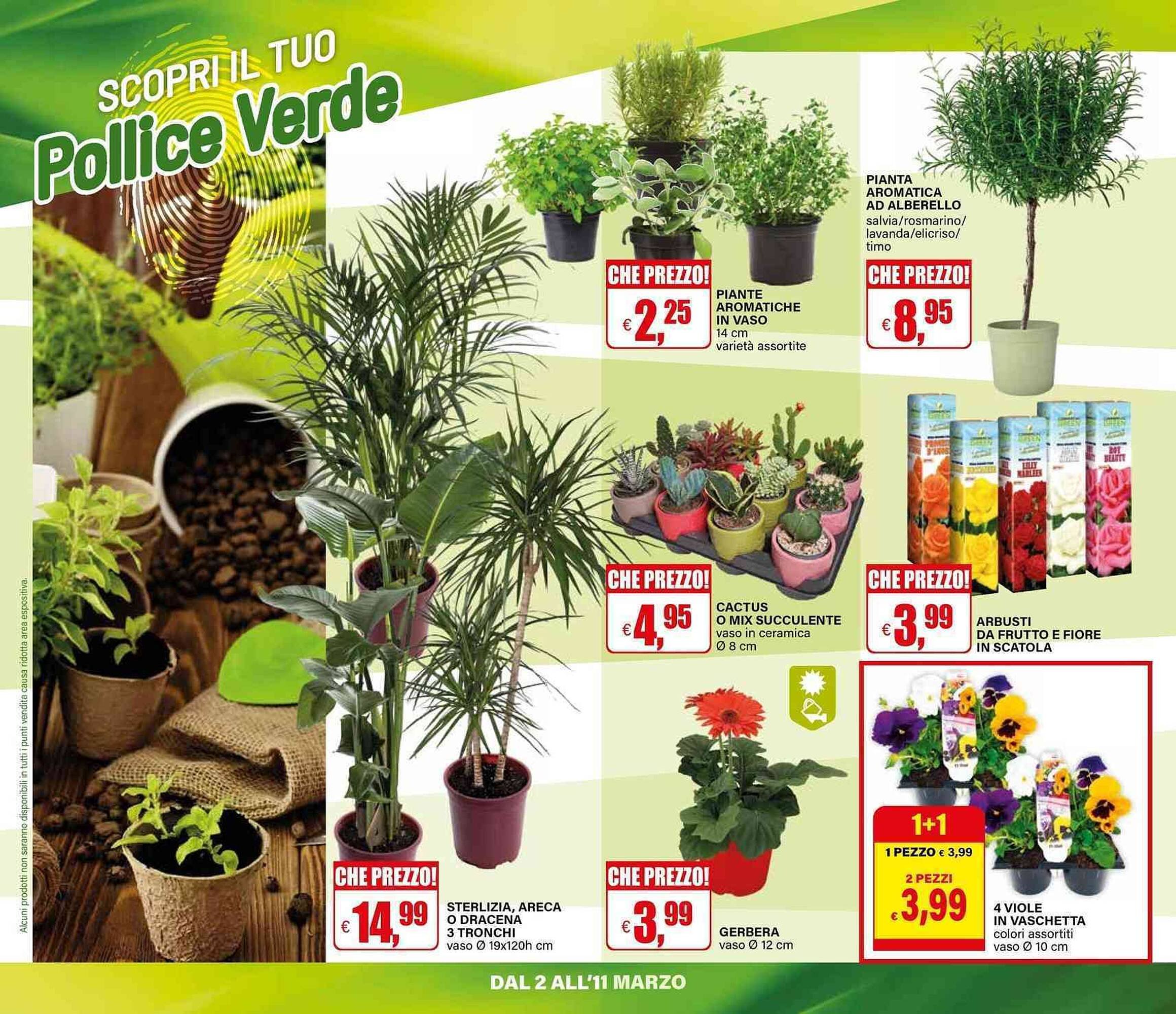 Volantino Il Gigante (2026-03-02 - 2026-03-11)