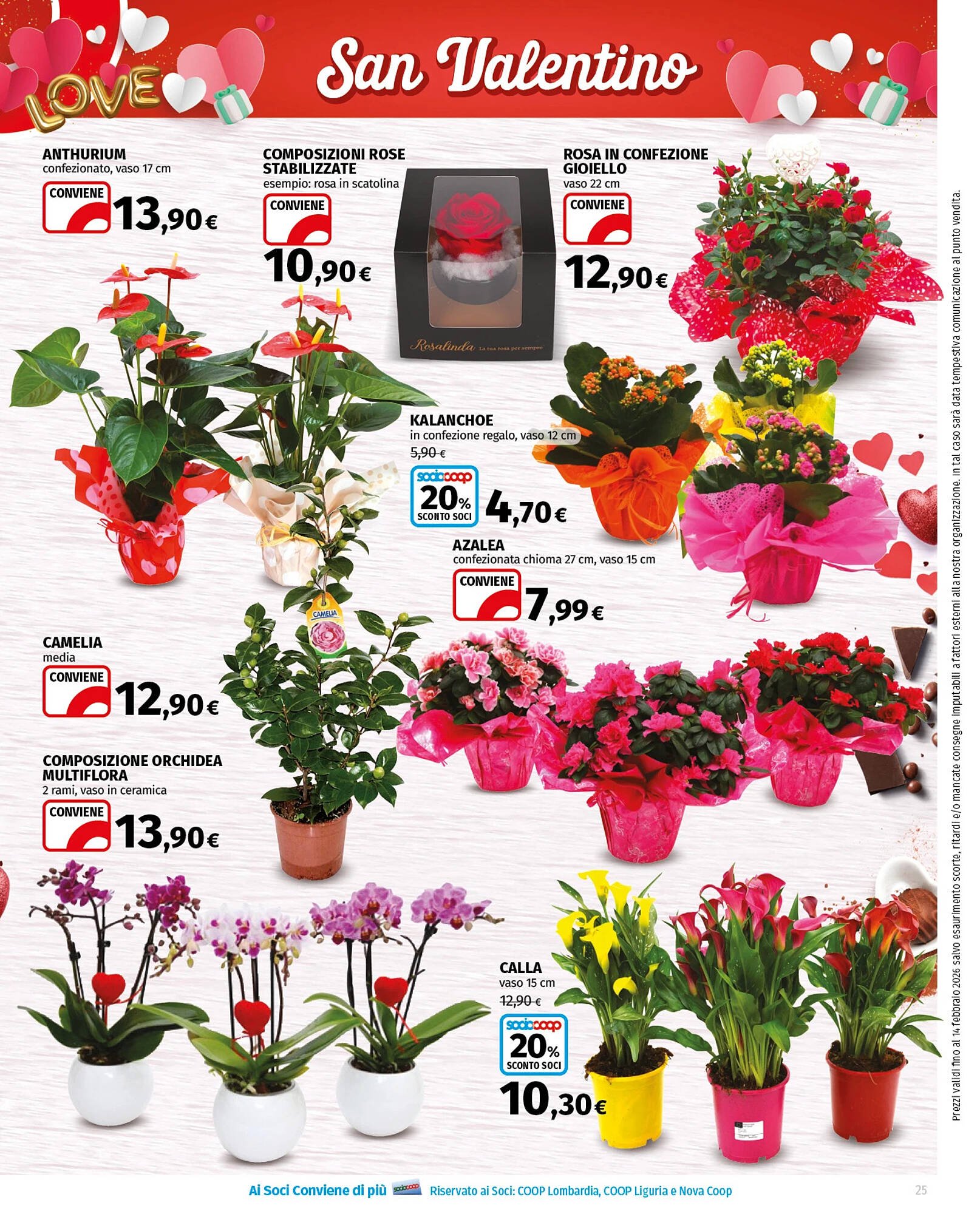 Volantino Ipercoop (2026-01-29 - 2026-02-11)