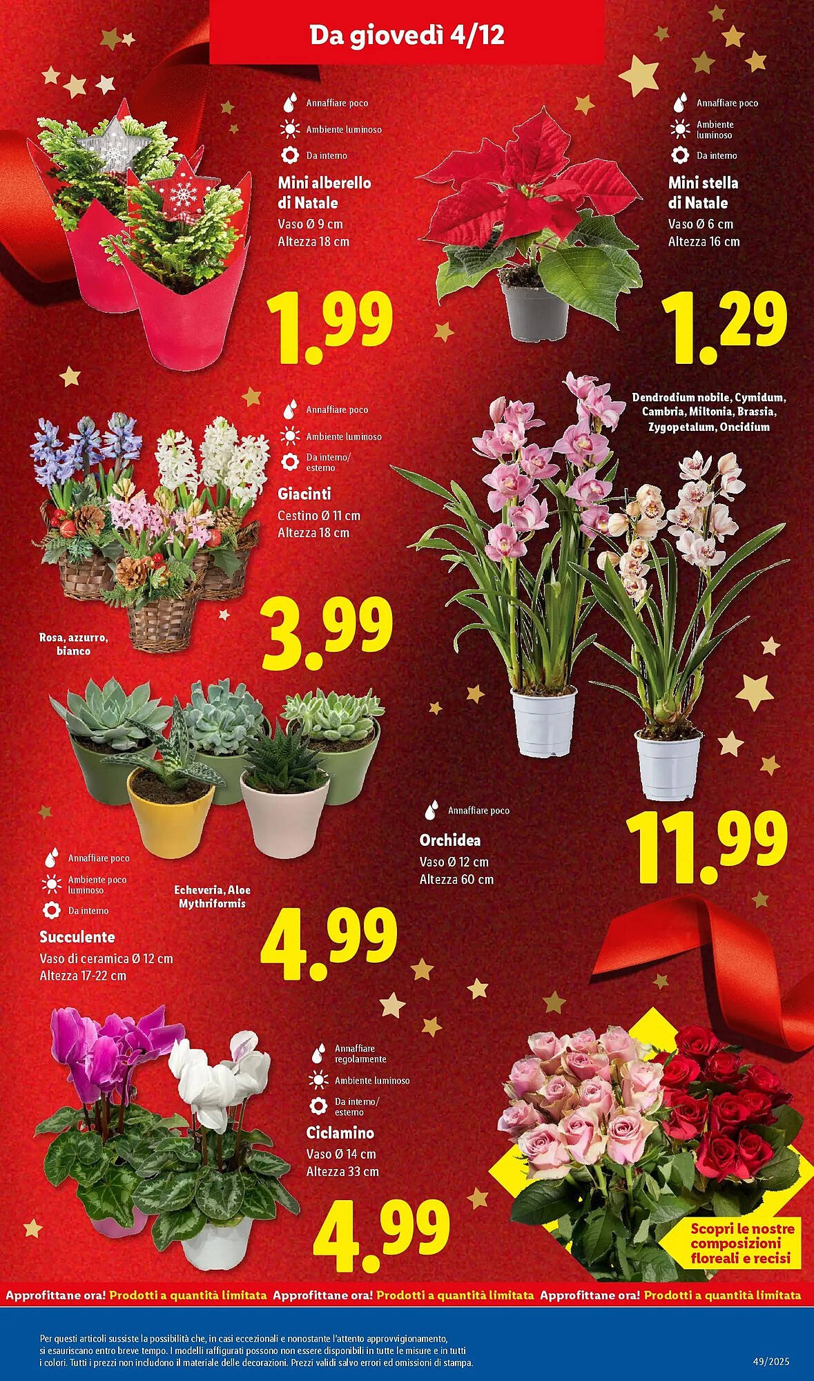 Volantino Lidl (2025-12-01 - 2025-12-07)