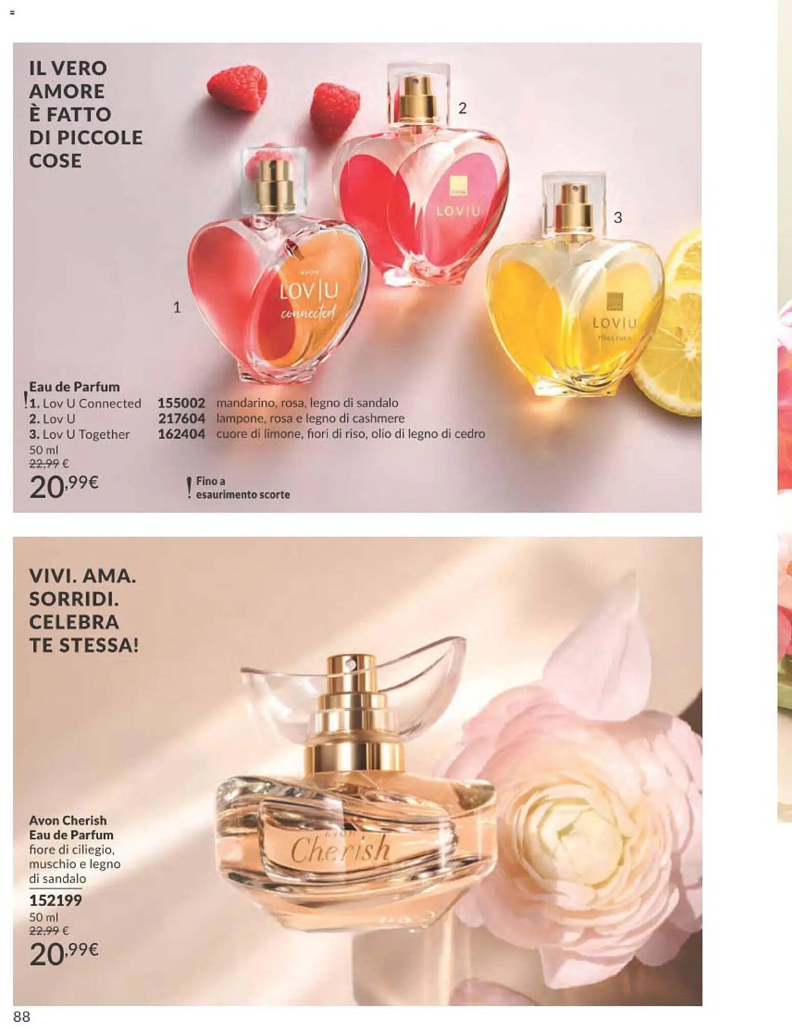 Catalogo Avon (2025-12-31 - 2026-01-31)