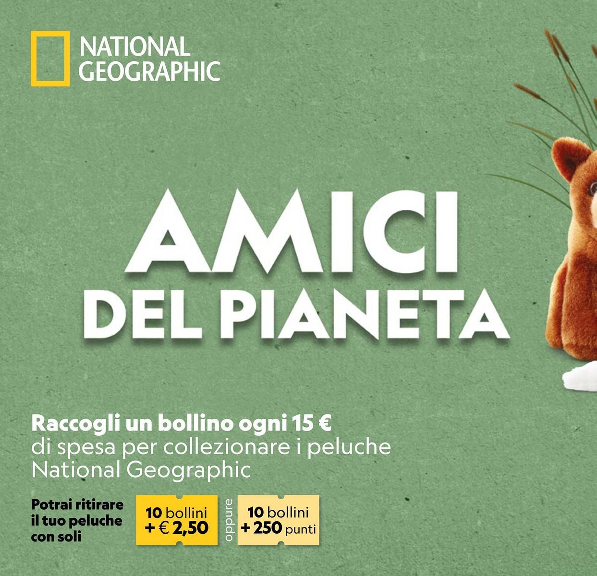 Volantino Sigma (2025-10-09 - 2025-10-22)