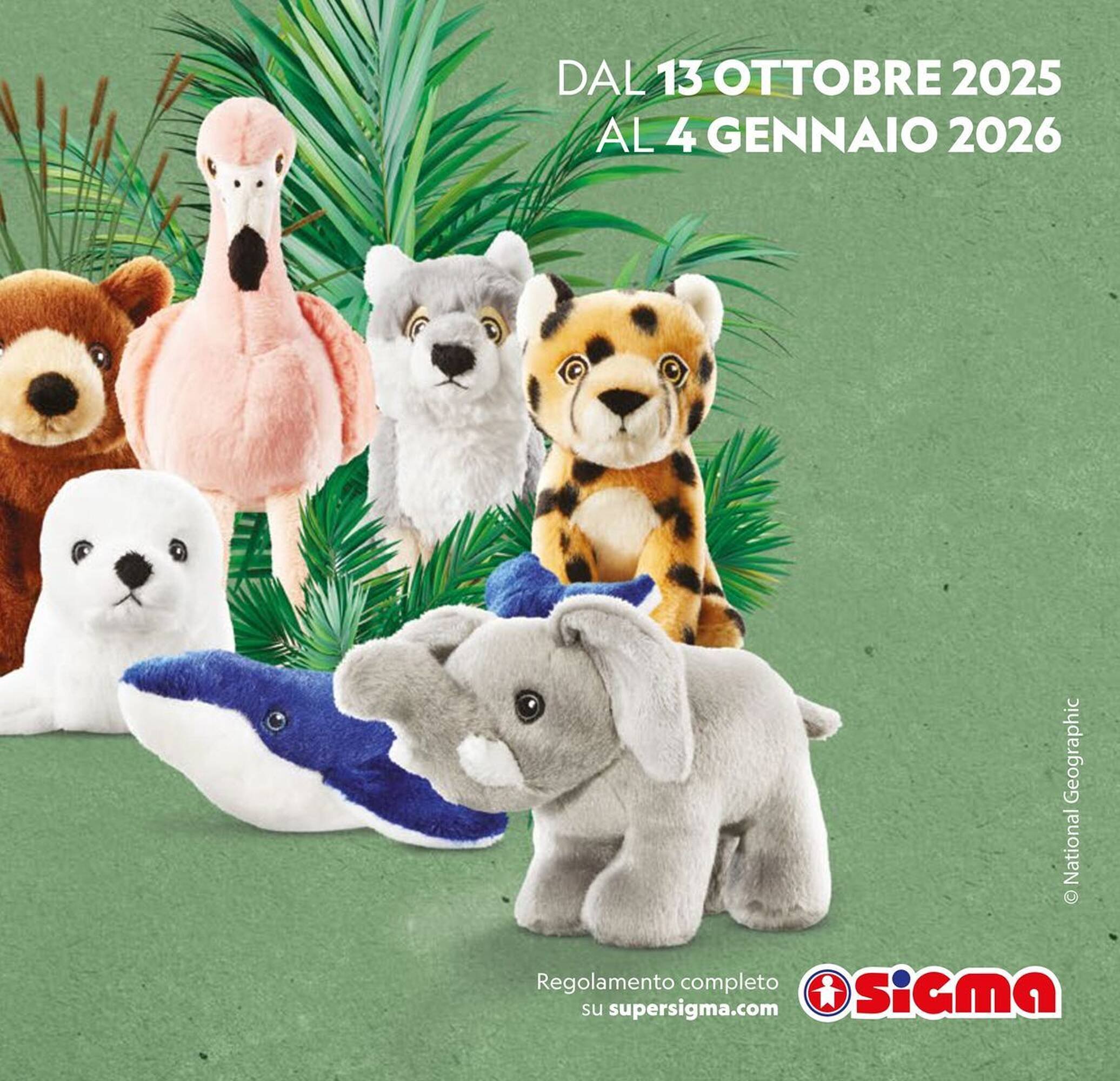 Volantino Sigma (2025-10-09 - 2025-10-22)