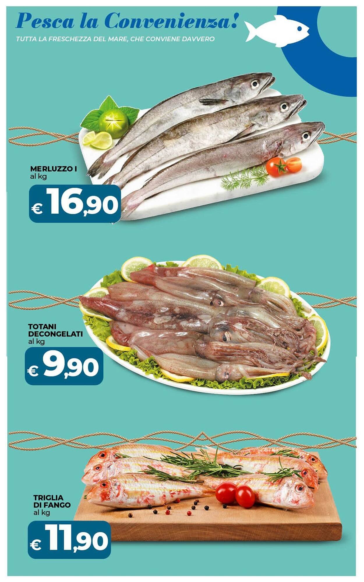 Volantino Ipercoop (2026-01-08 - 2026-01-16)