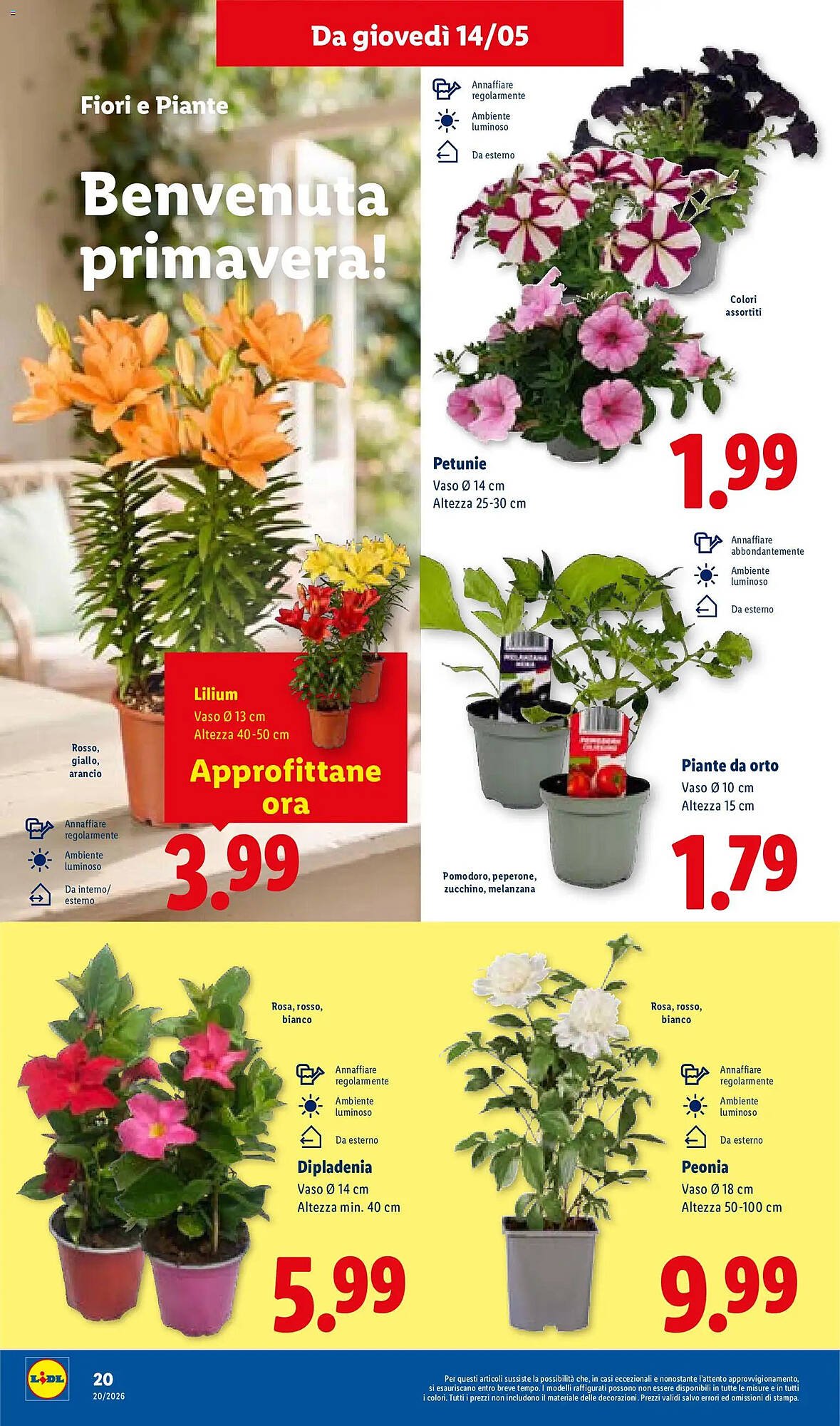 Volantino Lidl (2026-05-14 - 2026-05-20)