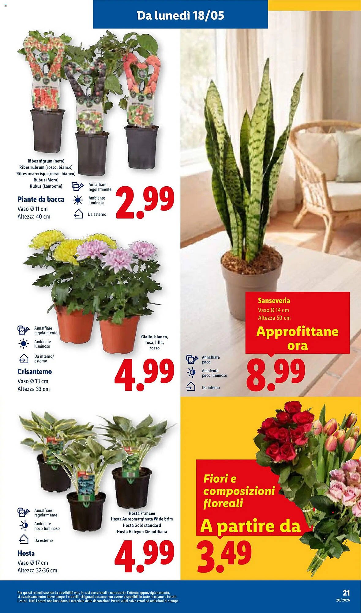 Volantino Lidl (2026-05-14 - 2026-05-20)
