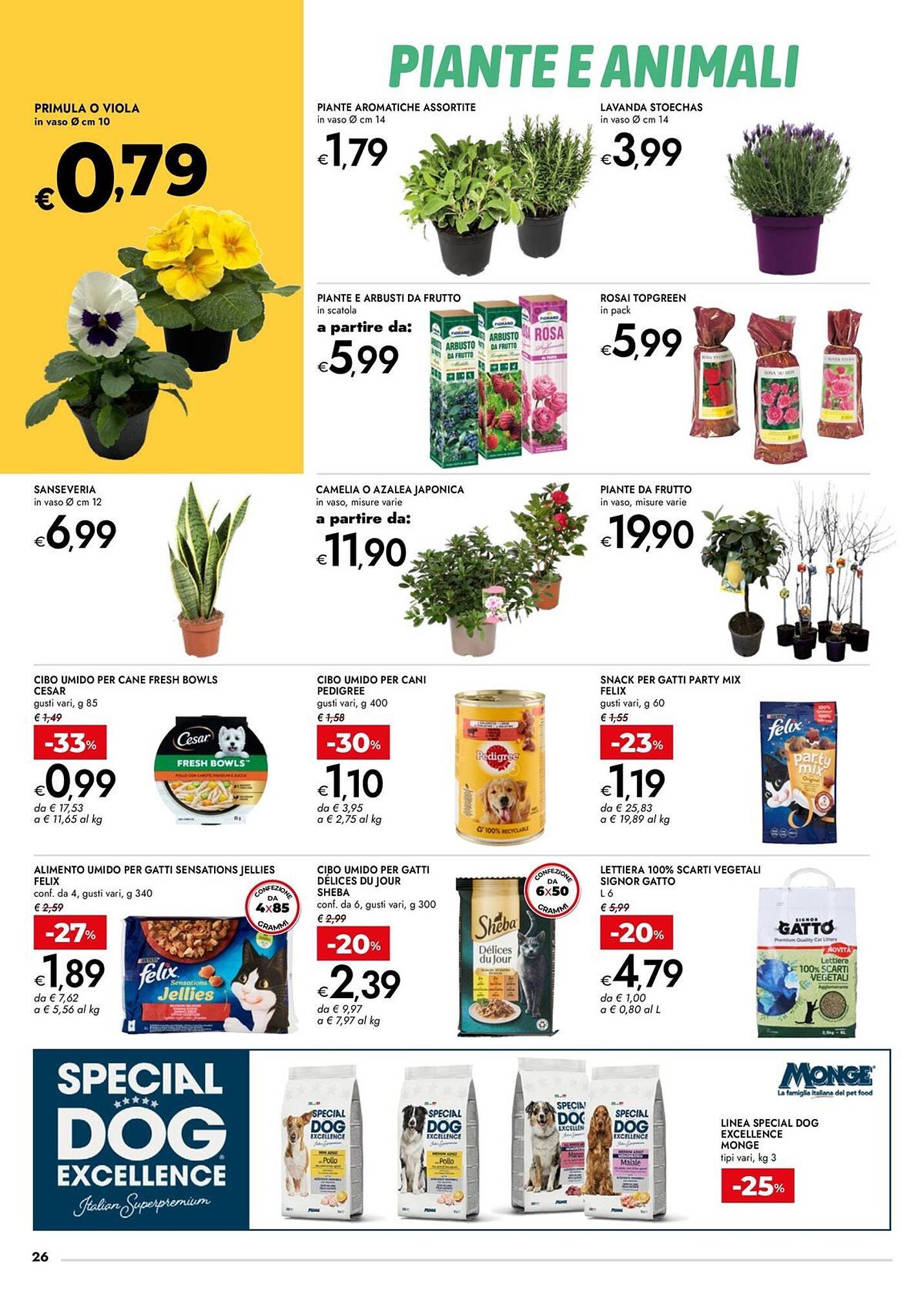 Volantino Bennet (2026-02-12 - 2026-02-25)