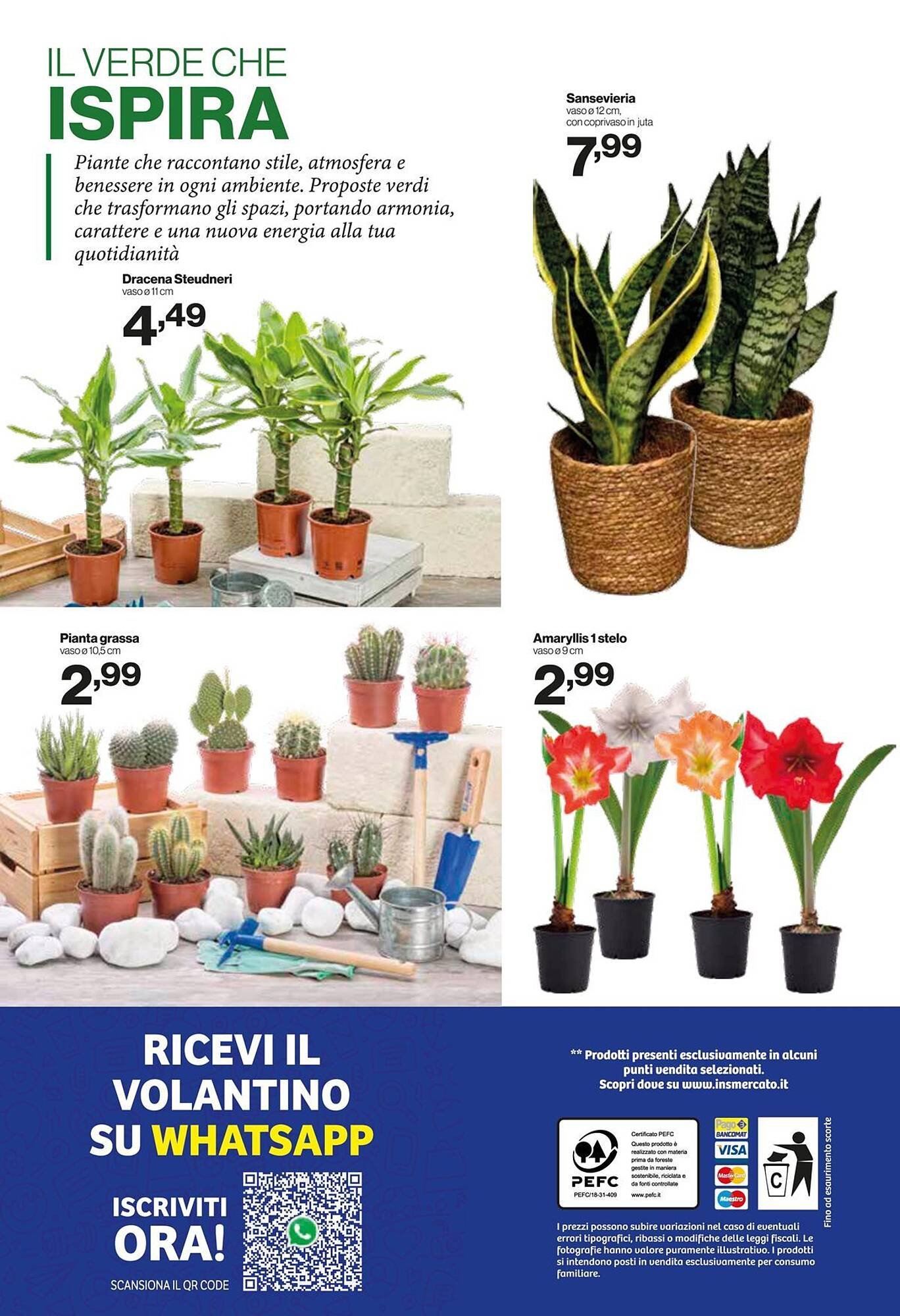 Volantino In'S Mercato (2025-12-31 - 2026-01-11)