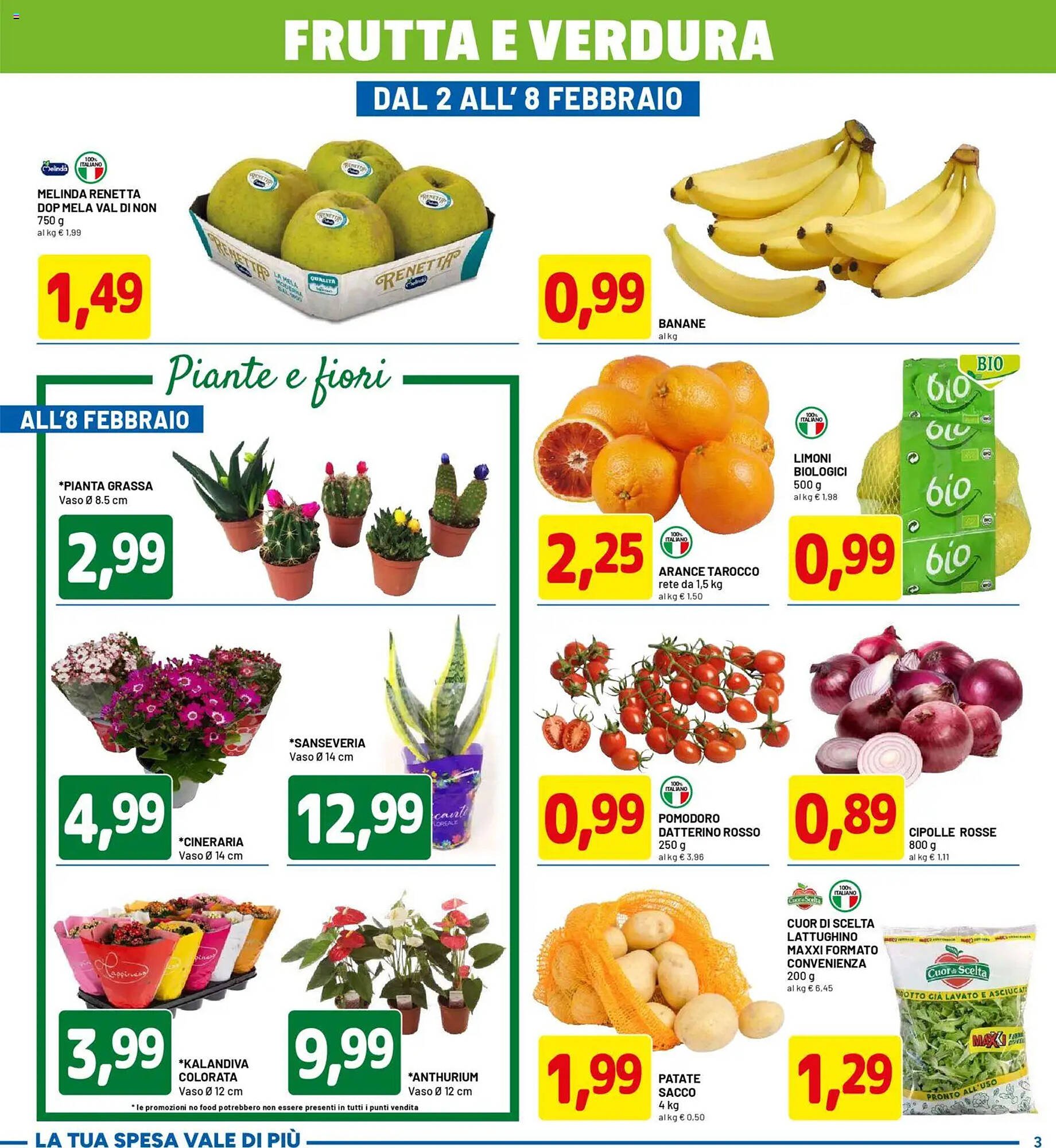 Volantino DPiù (2026-01-26 - 2026-02-08)