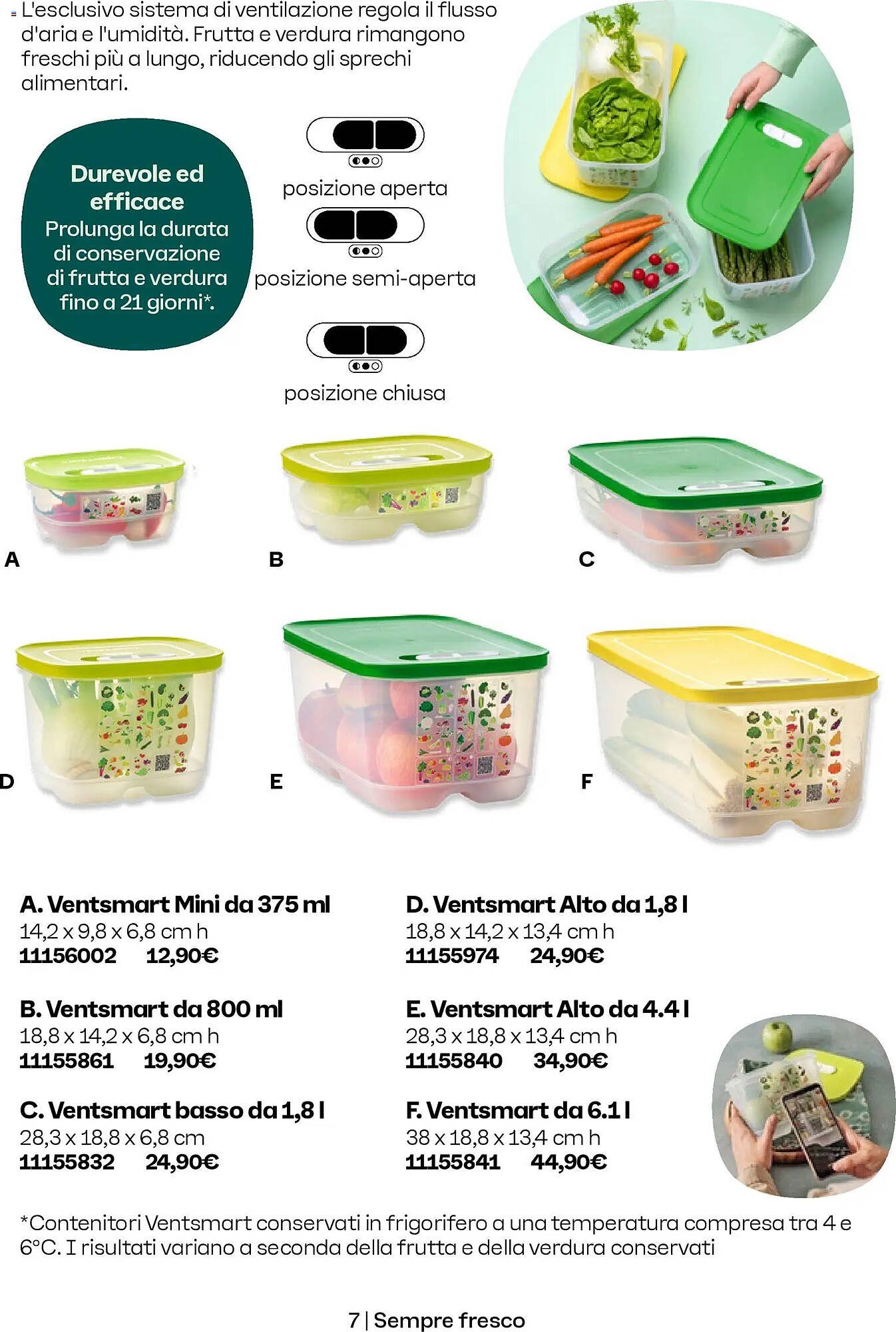 Volantino Tupperware (2025-11-01 - 2025-12-31)
