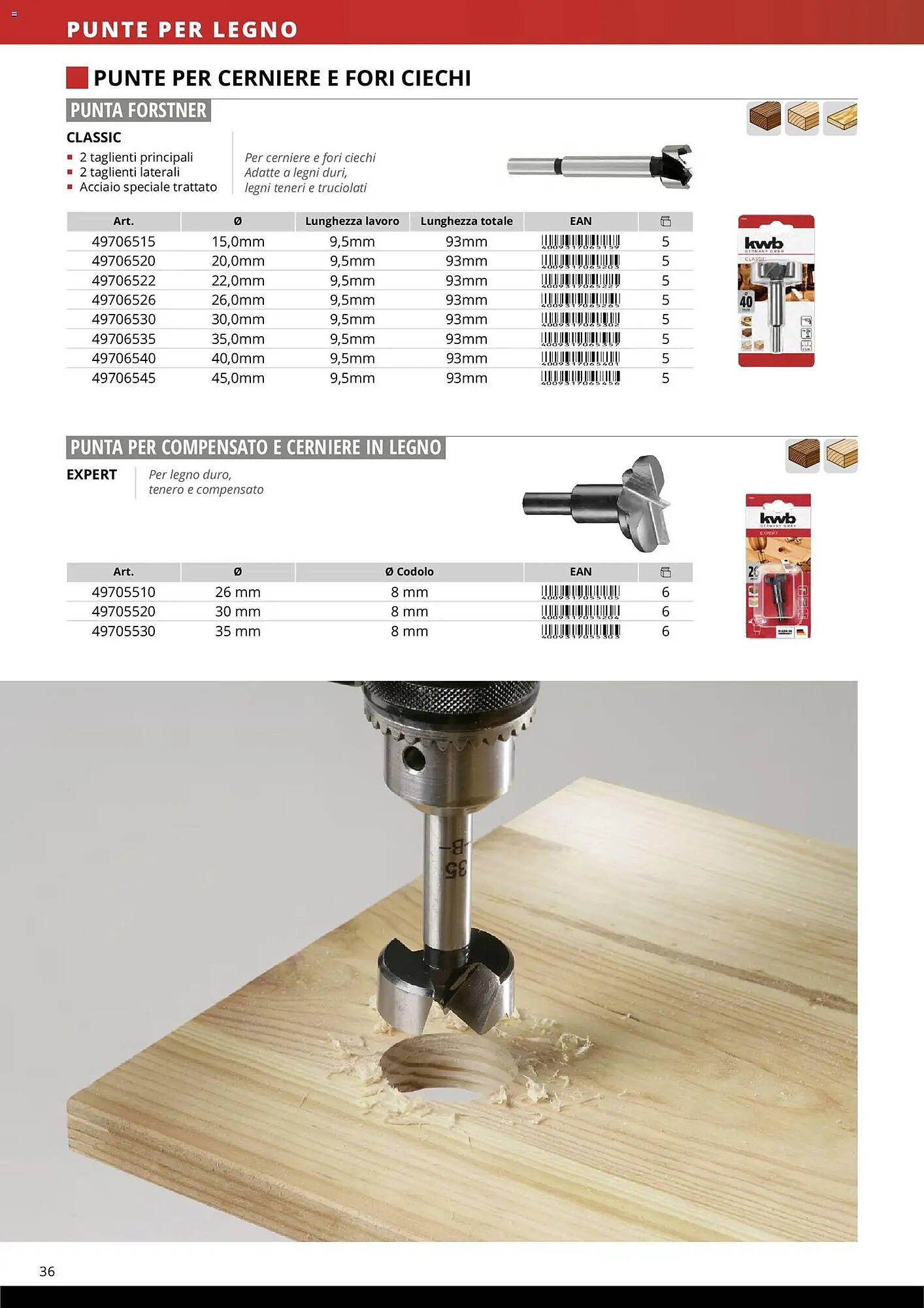 Volantino Einhell (2026-03-17 - 2026-12-31)