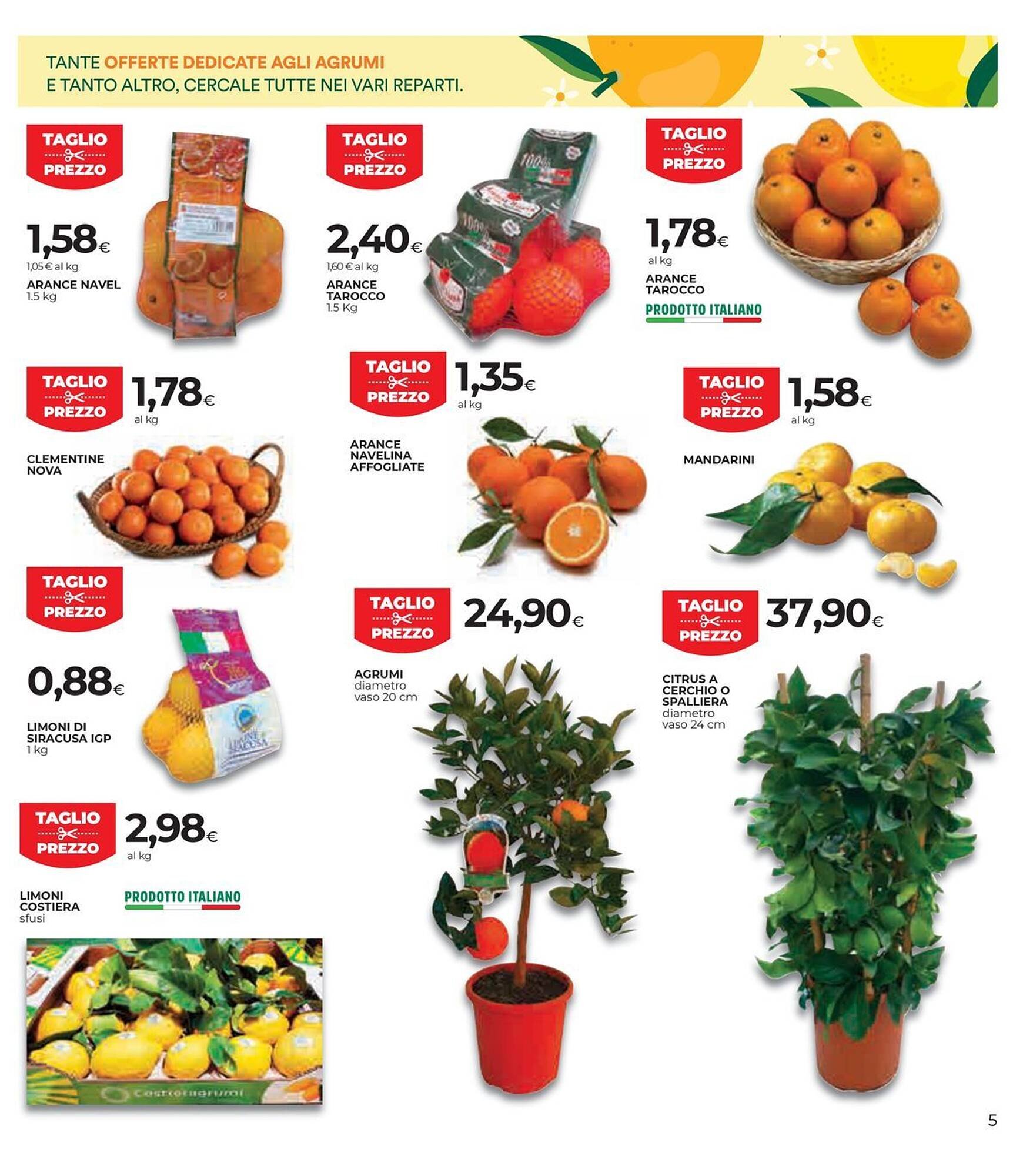 Volantino Coop (2026-01-15 - 2026-01-28)