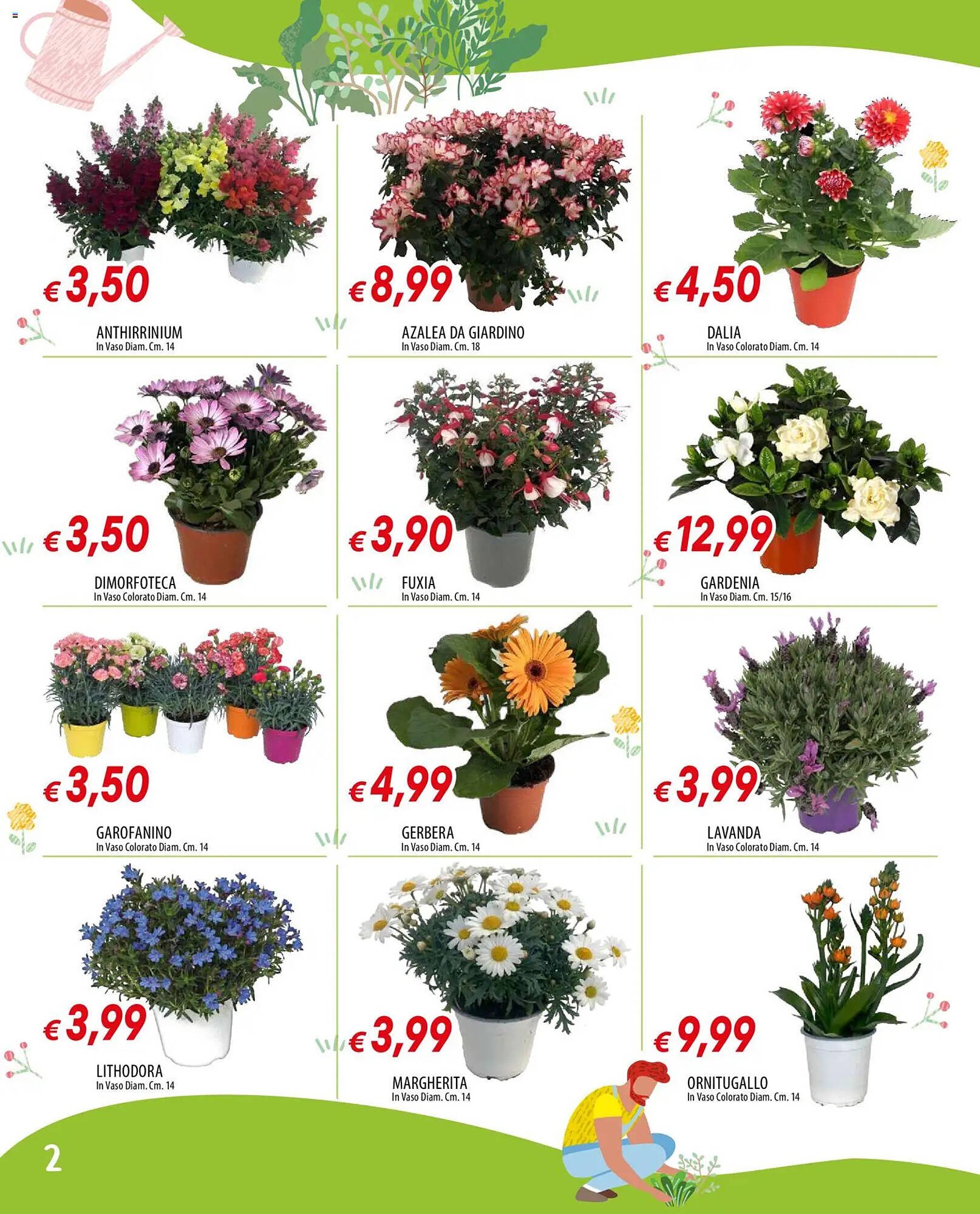 Volantino Galassia (2026-03-12 - 2026-04-08)