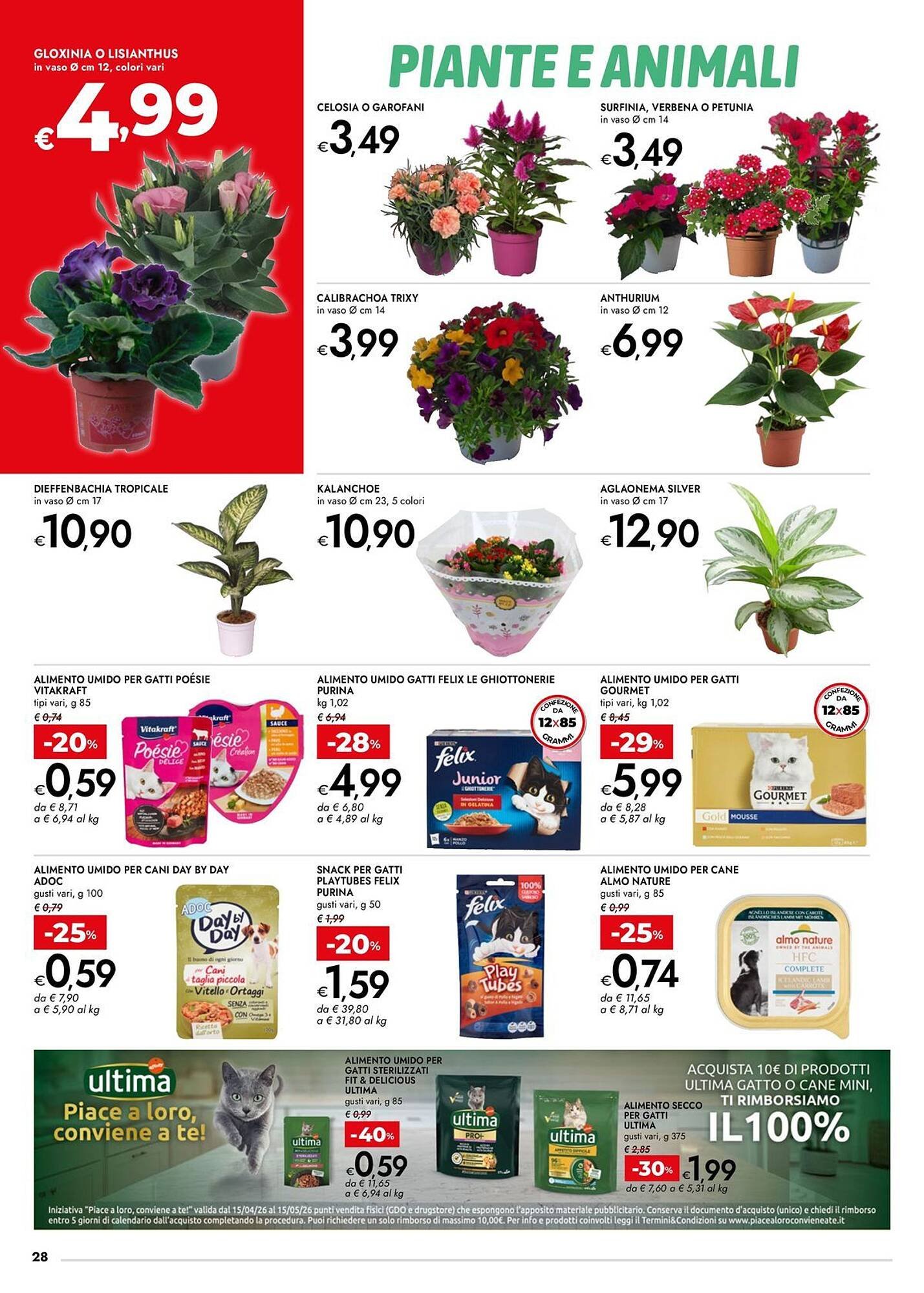 Volantino Bennet (2026-04-23 - 2026-05-06)