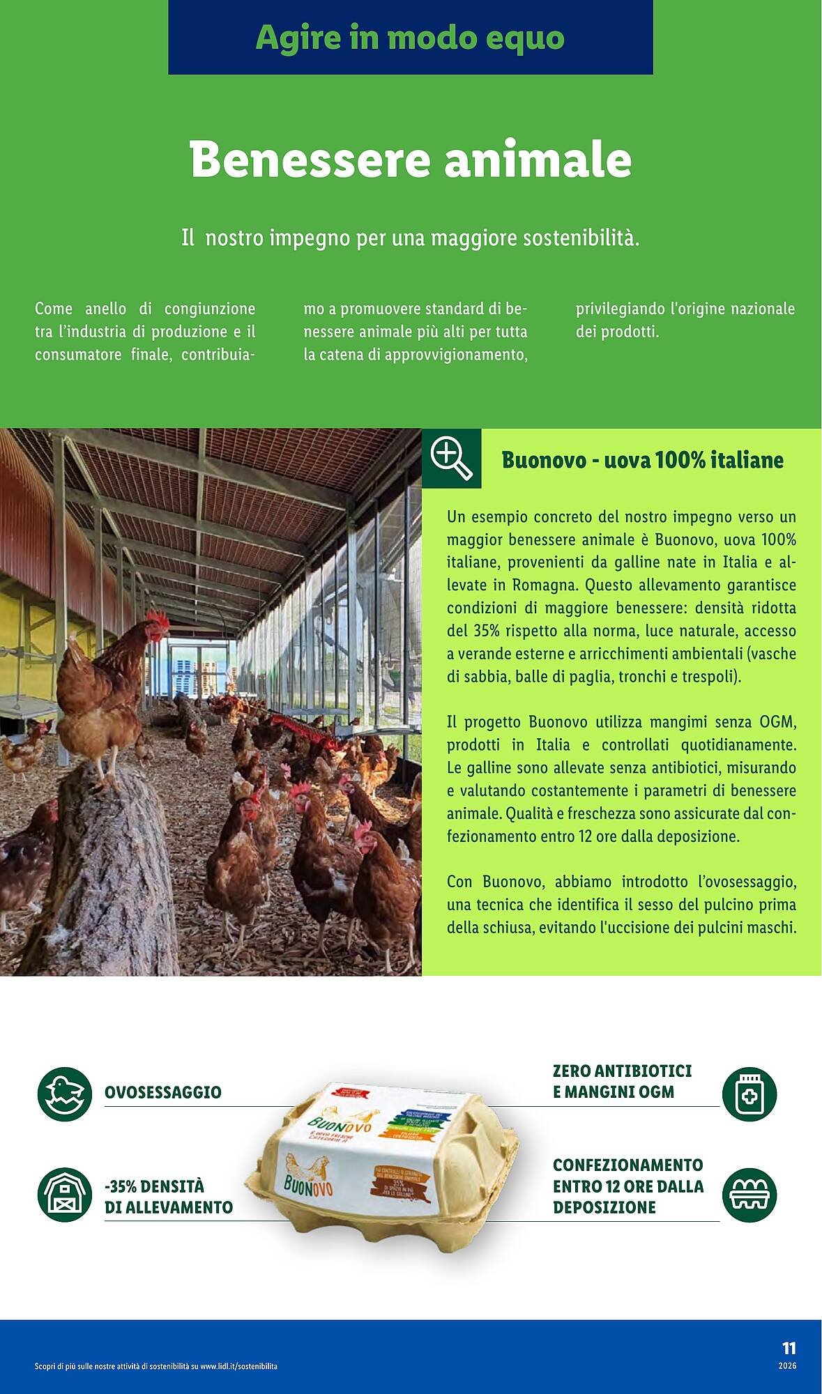 Volantino Lidl (2026-01-29 - 2026-02-28)