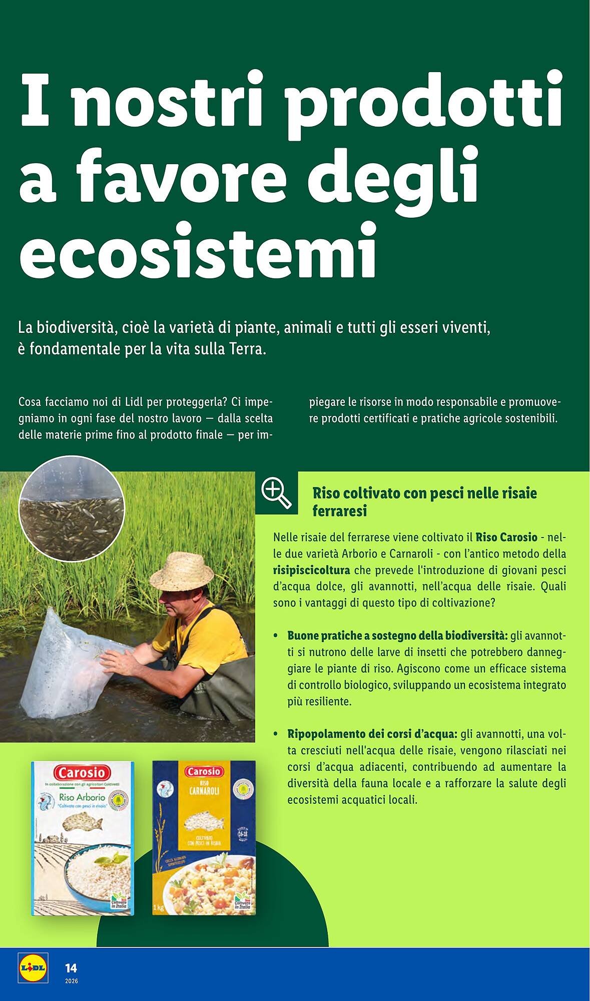 Volantino Lidl (2026-01-29 - 2026-02-28)