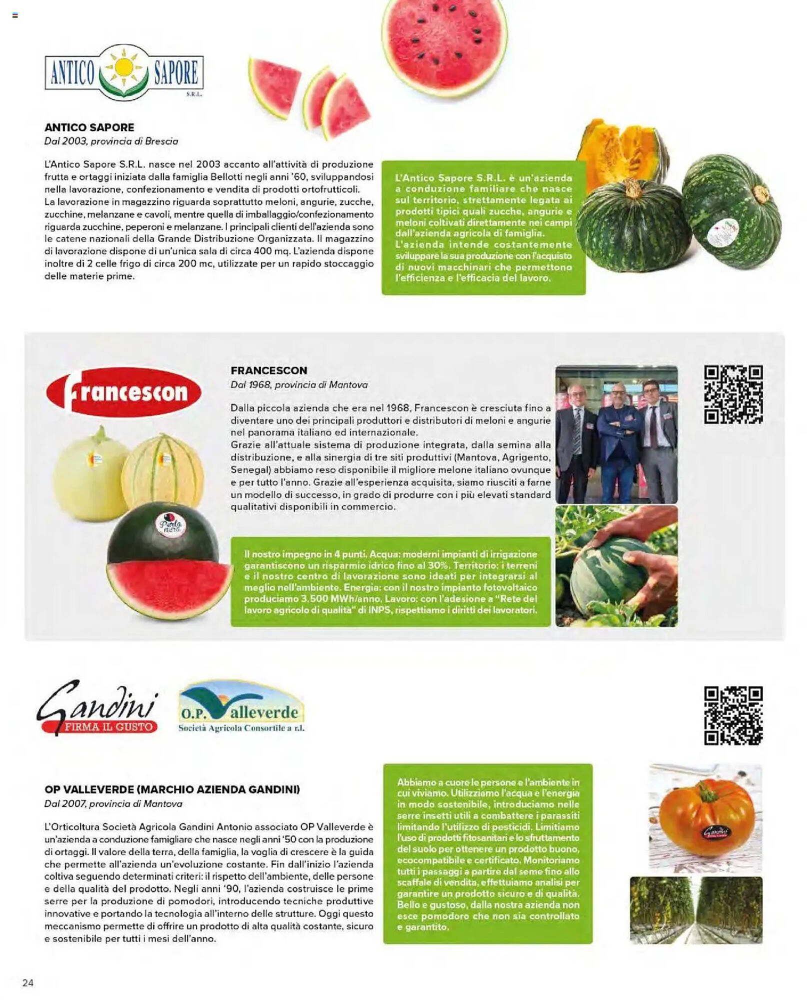 Volantino Ipercoop (2025-09-08 - 2025-09-24)