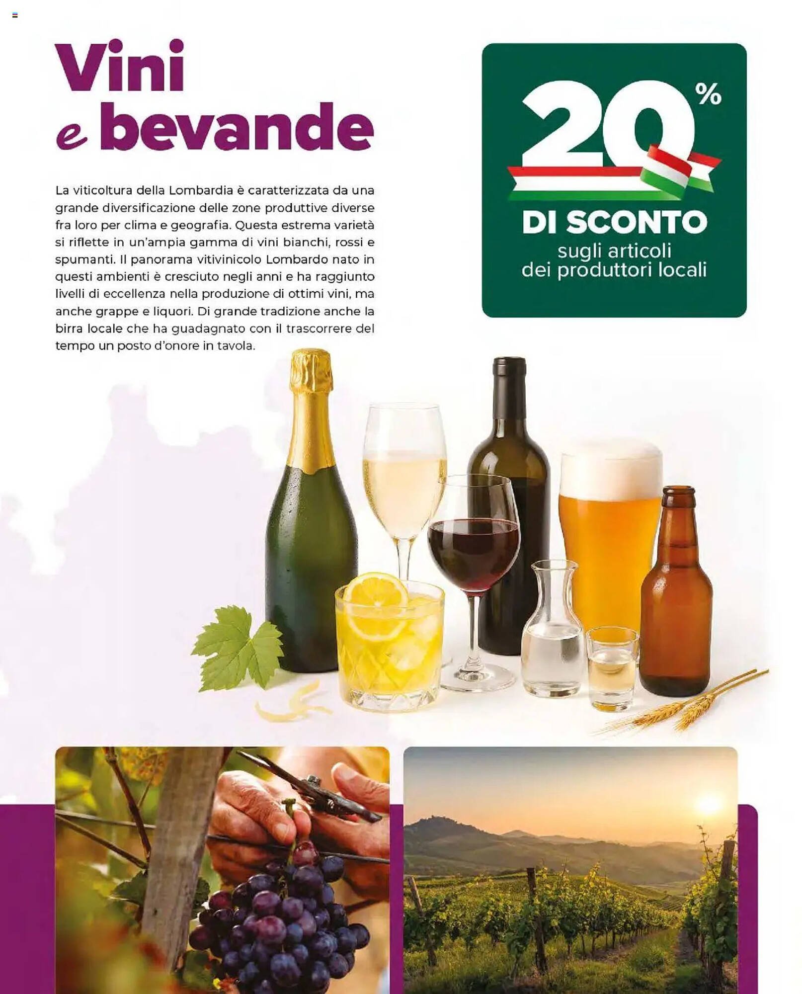 Volantino Ipercoop (2025-09-08 - 2025-09-24)