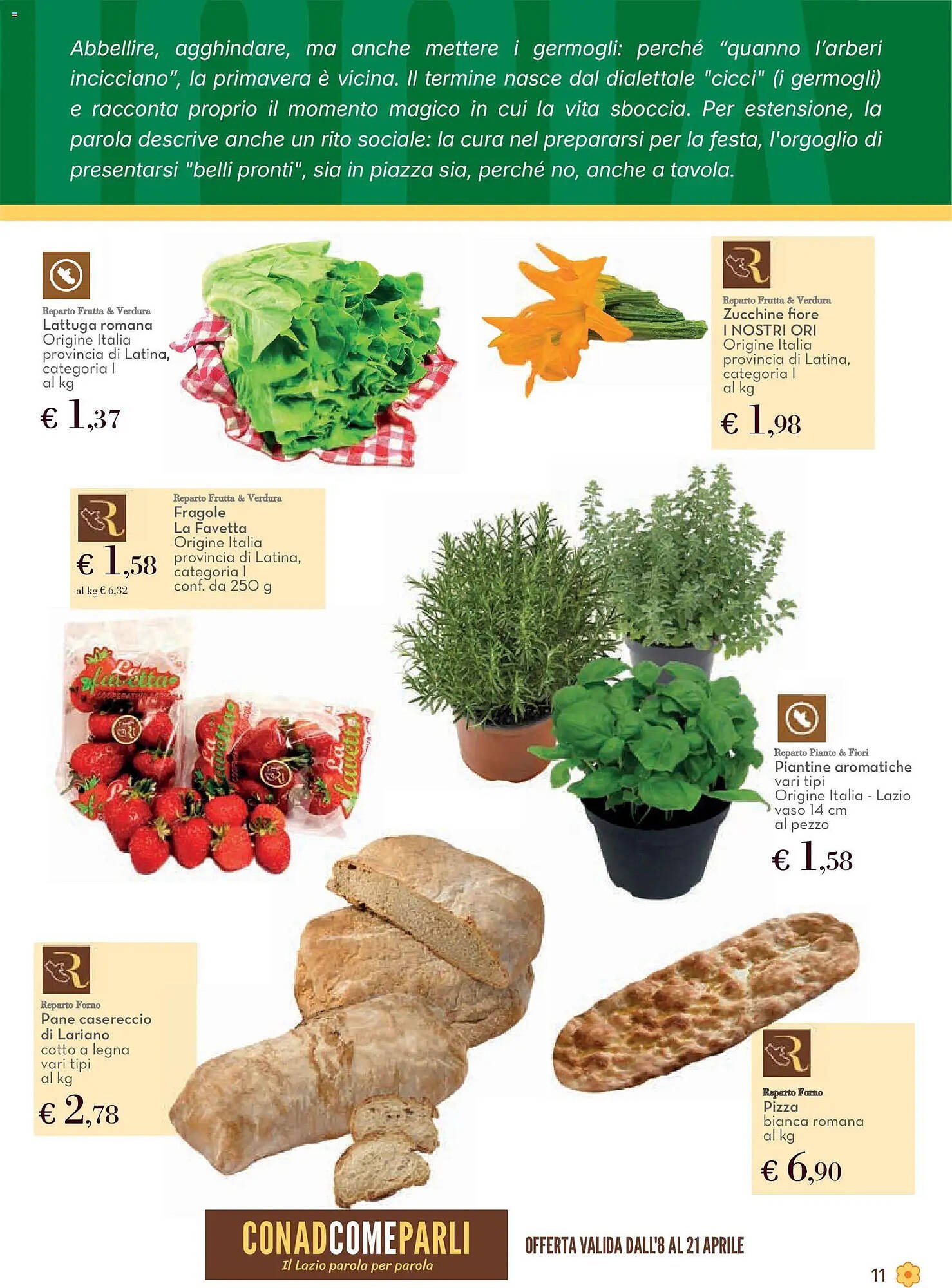 Volantino Conad (2026-04-08 - 2026-04-22)