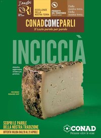 Volantino Conad (2026-04-08 - 2026-04-22)