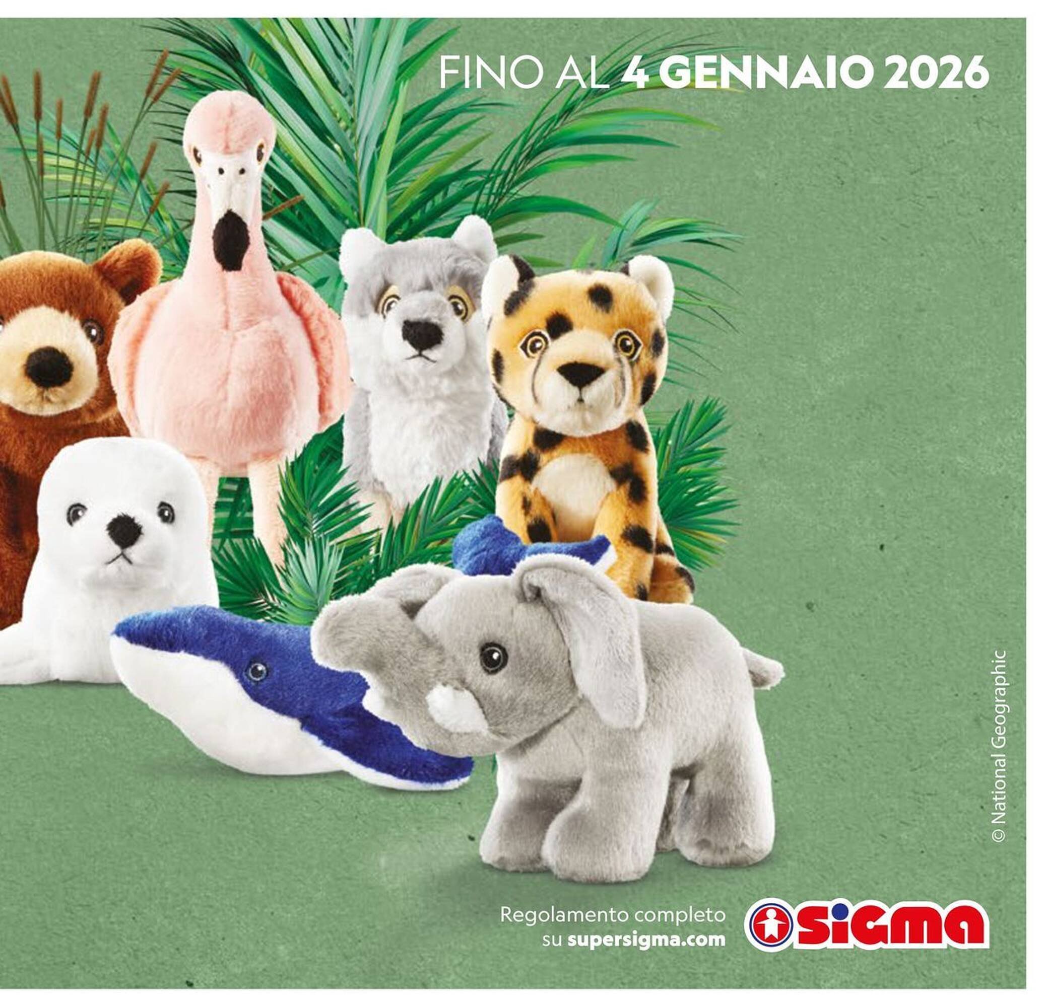 Volantino Sigma (2025-11-16 - 2025-11-26)