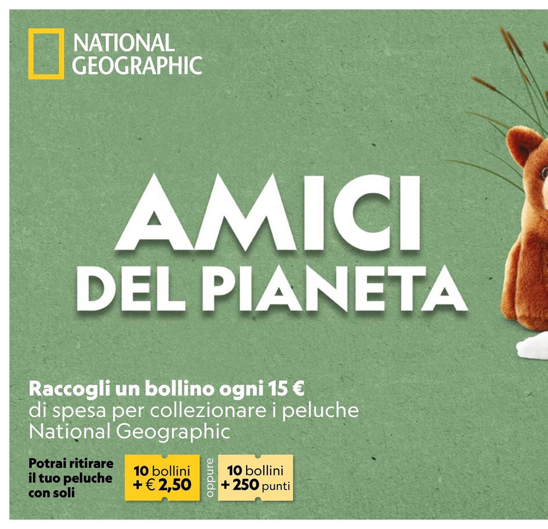 Volantino Sigma (2025-11-16 - 2025-11-26)