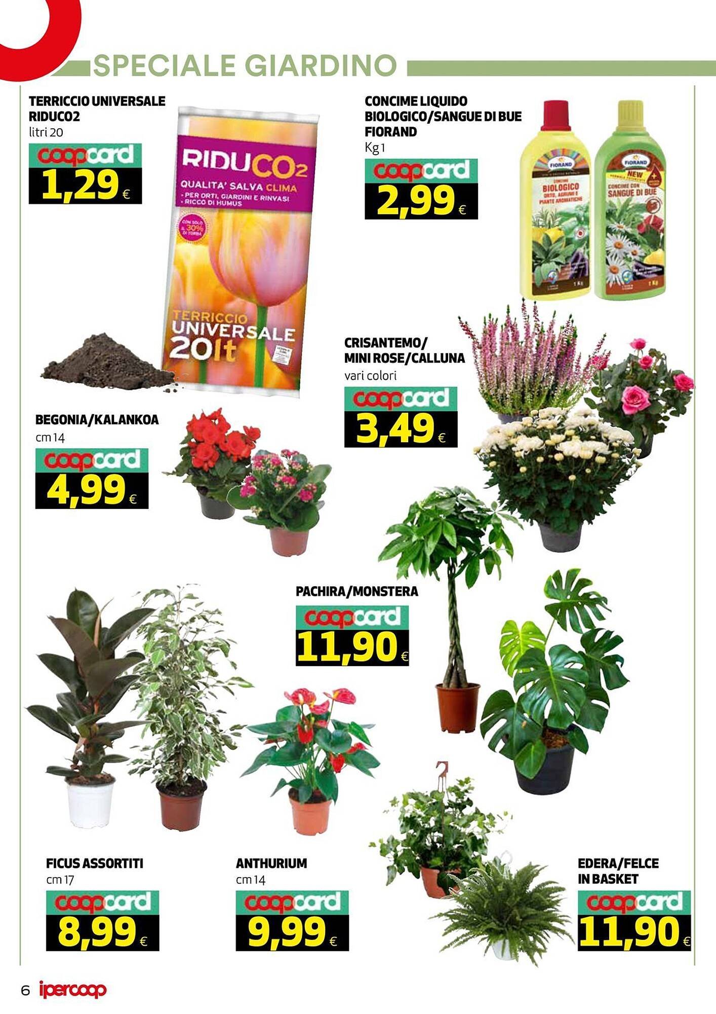 Volantino Ipercoop (2025-10-08 - 2025-10-16)