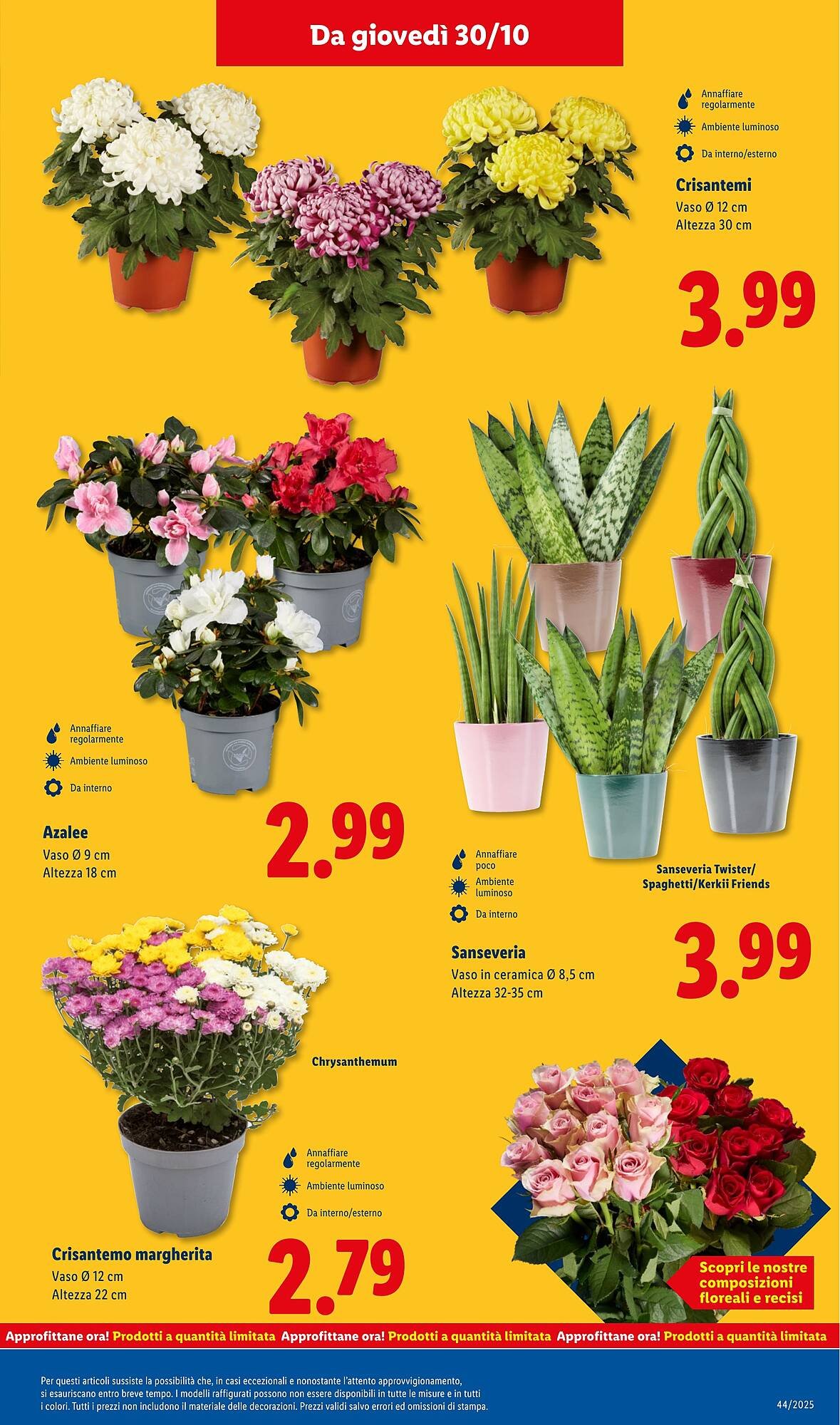 Volantino Lidl (2025-10-27 - 2025-11-02)