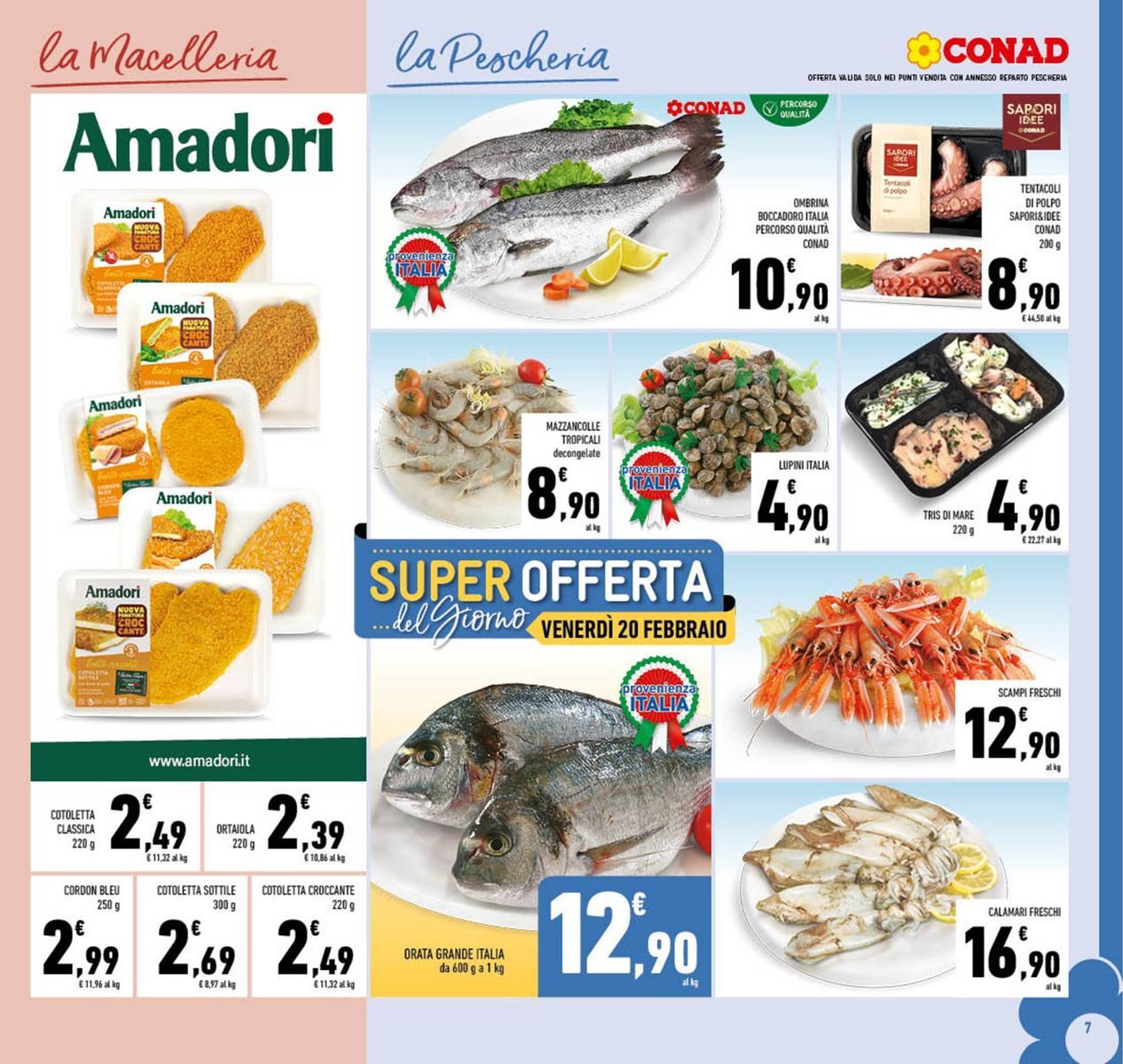 Volantino Conad (2026-02-11 - 2026-02-22)