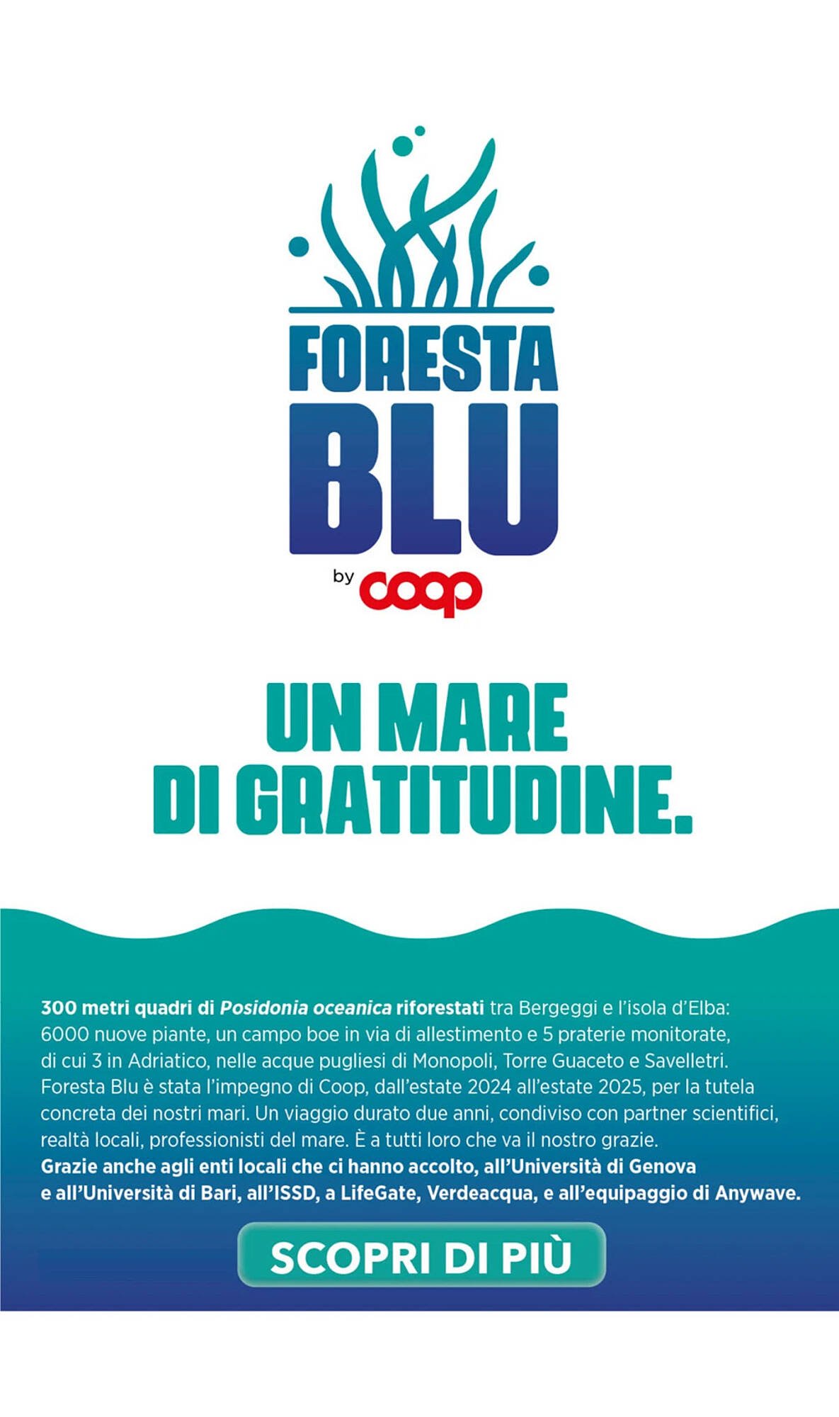 Volantino Ipercoop (2026-02-12 - 2026-03-04)