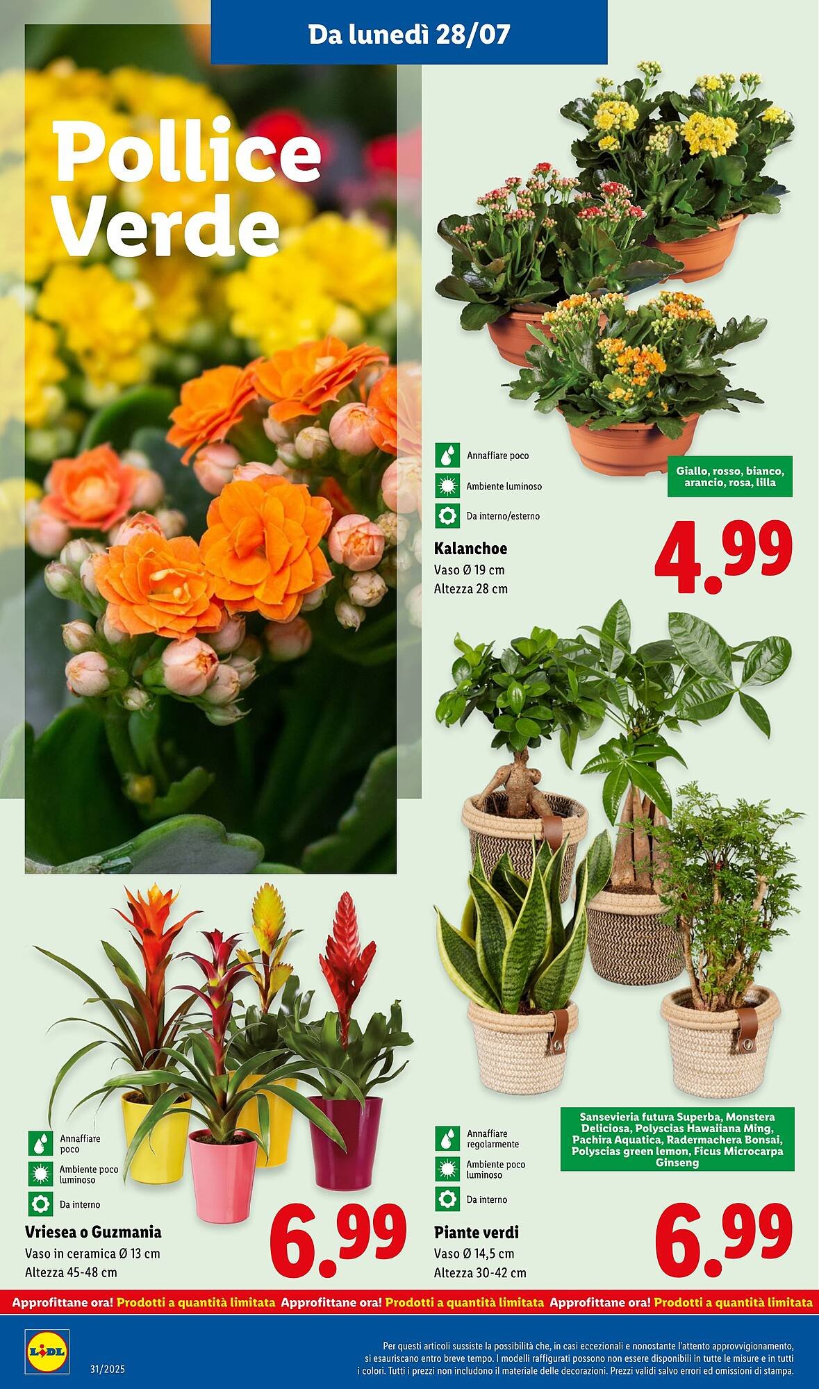 Volantino Lidl (2025-07-28 - 2025-08-03)
