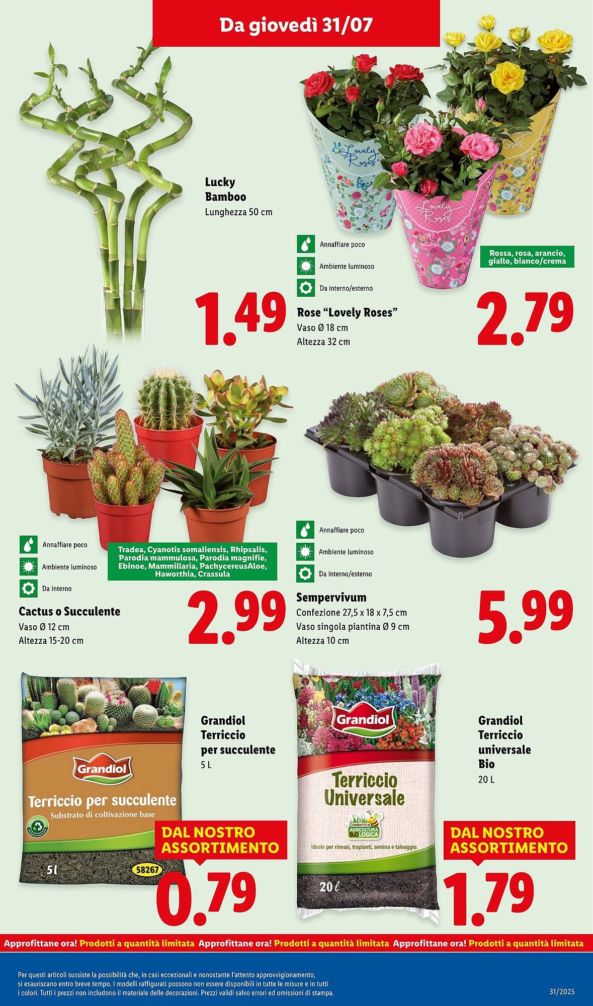 Volantino Lidl (2025-07-28 - 2025-08-03)