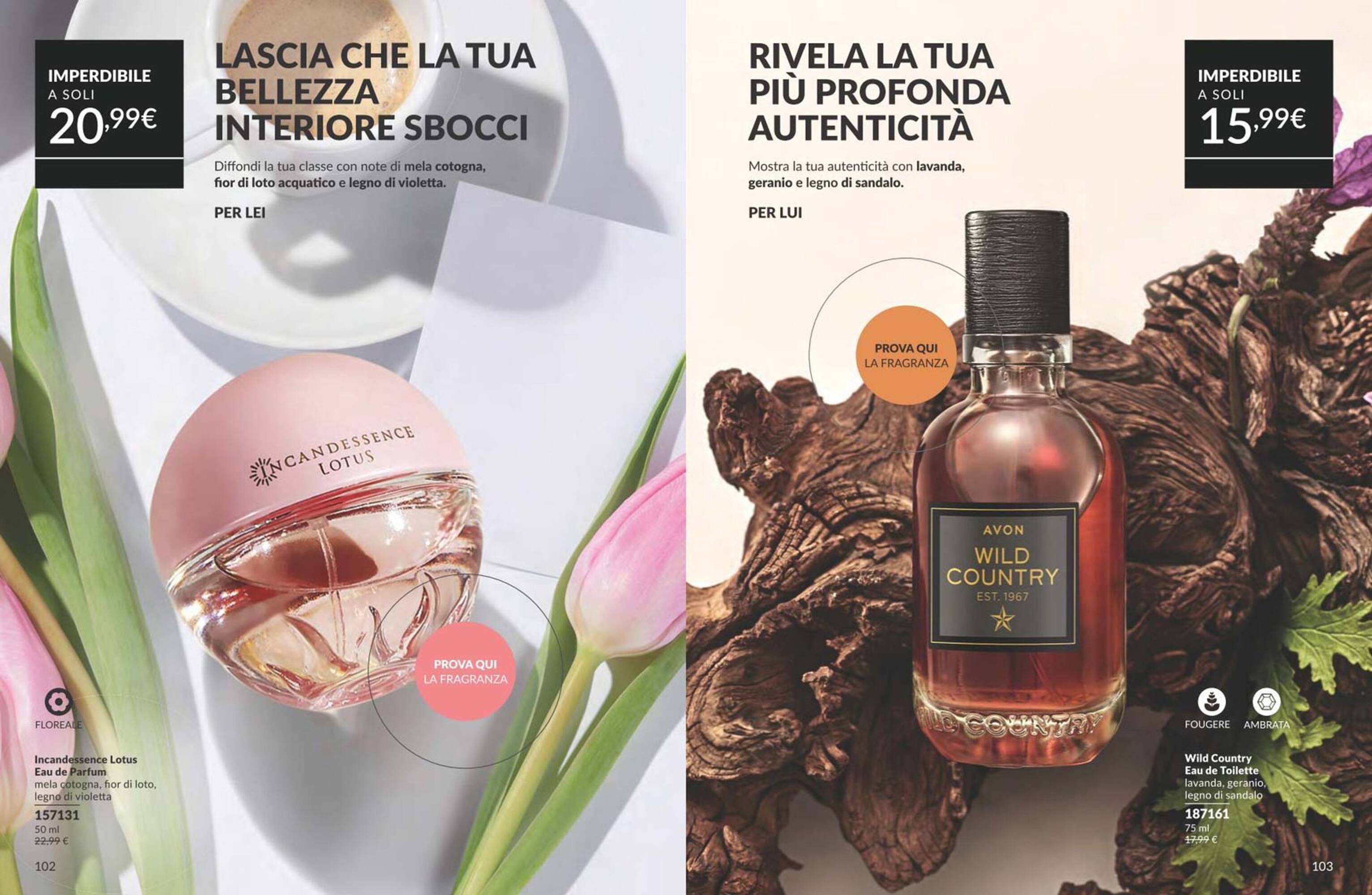 Volantino Avon (2025-09-01 - 2025-09-30)