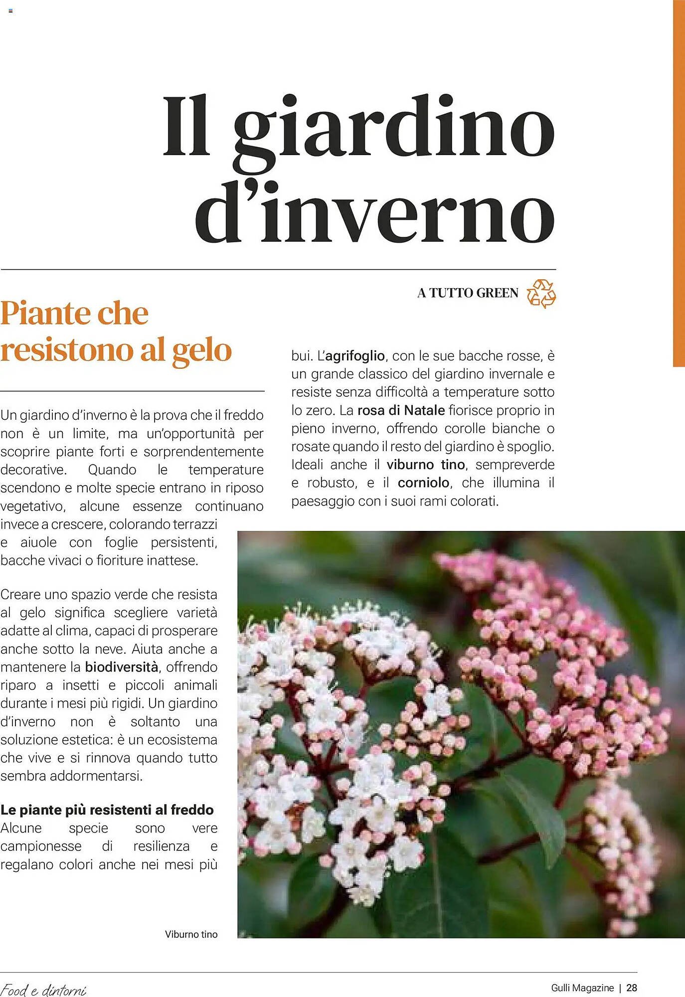 Volantino Supermercati Gulliver (2026-01-01 - 2026-01-31)