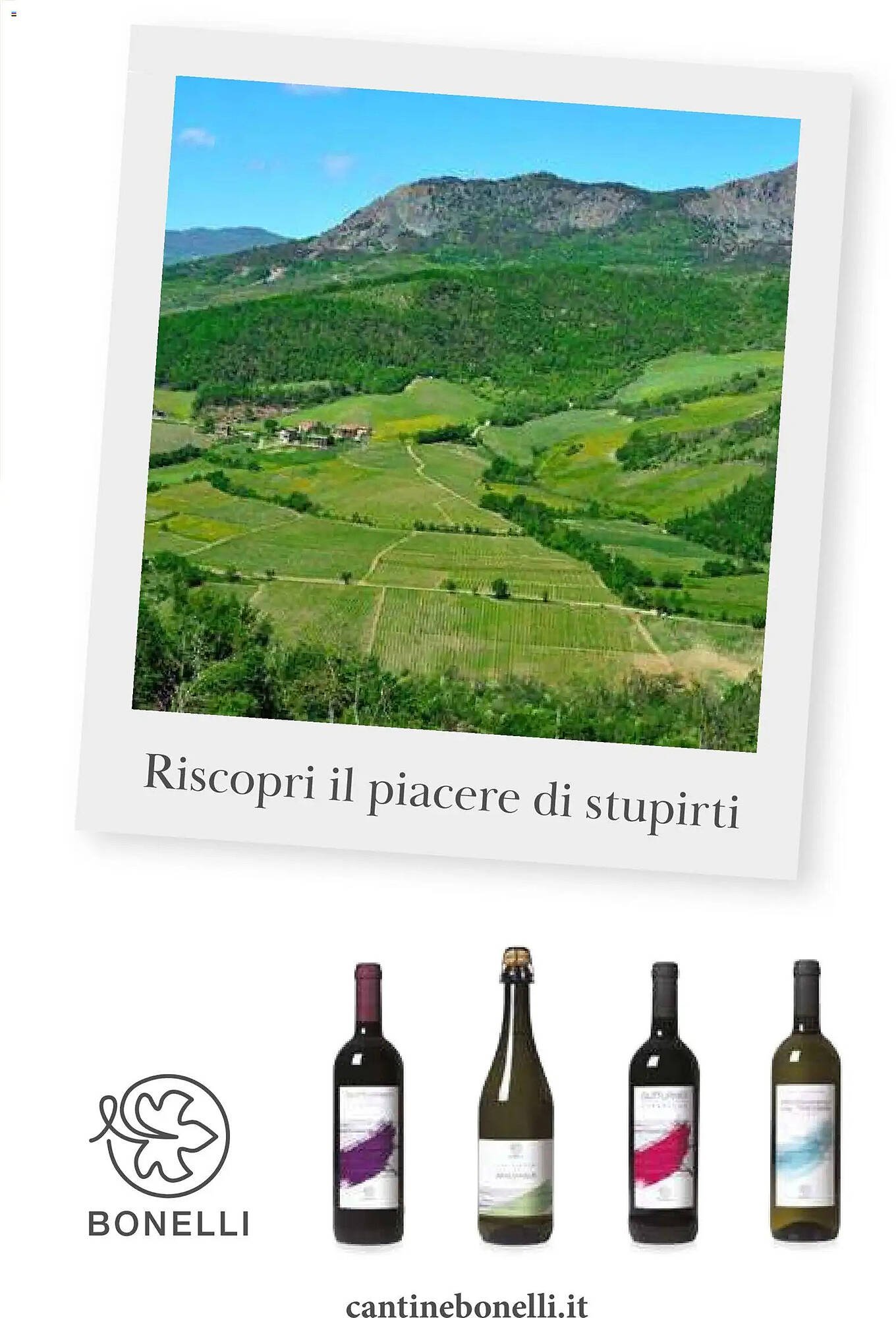 Volantino Supermercati Gulliver (2026-01-01 - 2026-01-31)