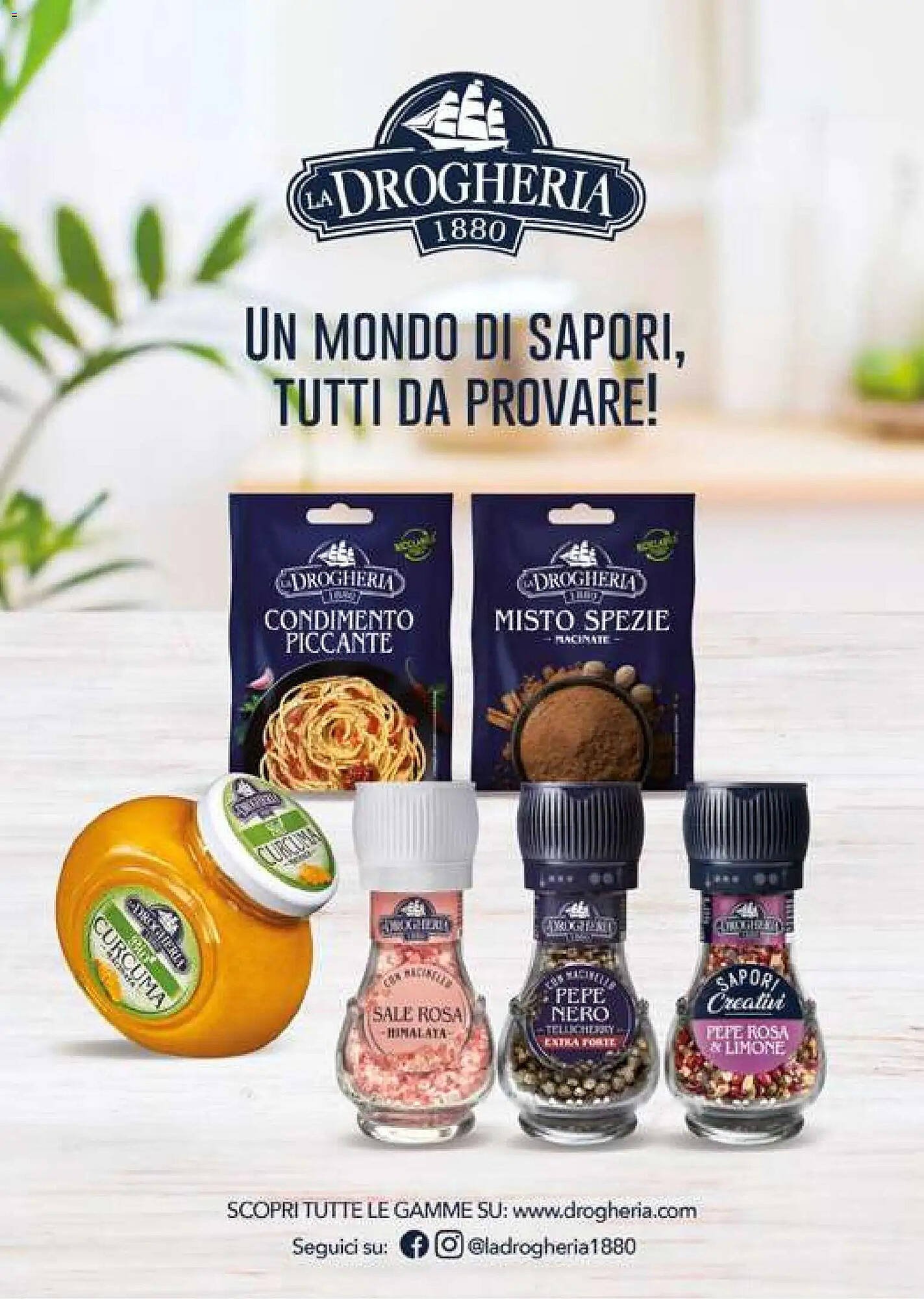 Volantino Supermercati Gulliver (2026-01-01 - 2026-01-31)