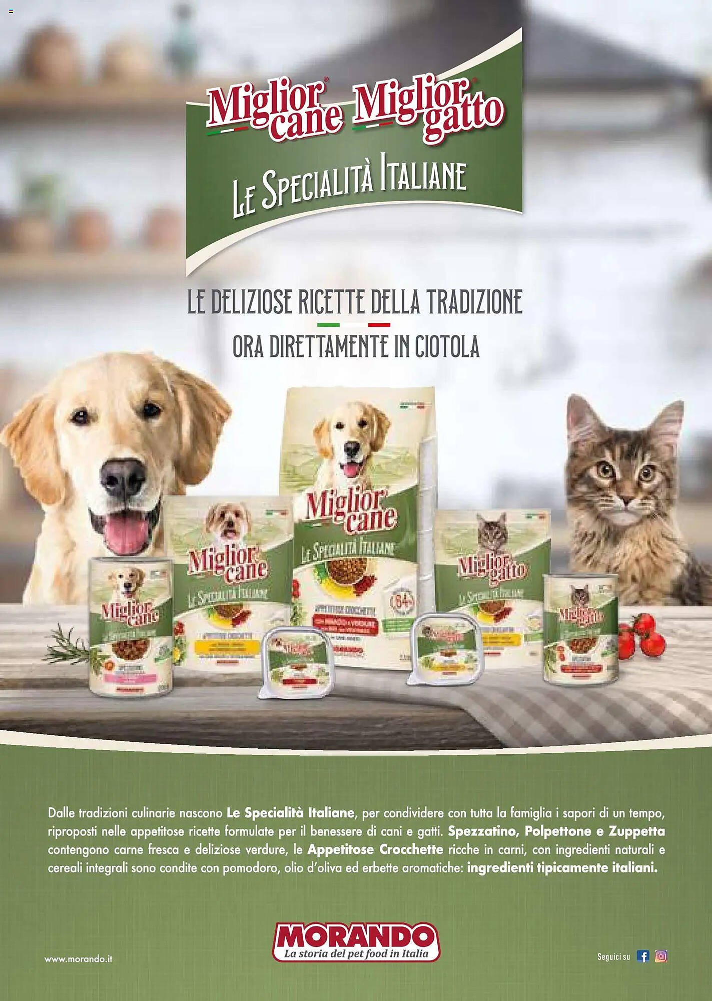 Volantino Supermercati Gulliver (2026-01-01 - 2026-01-31)