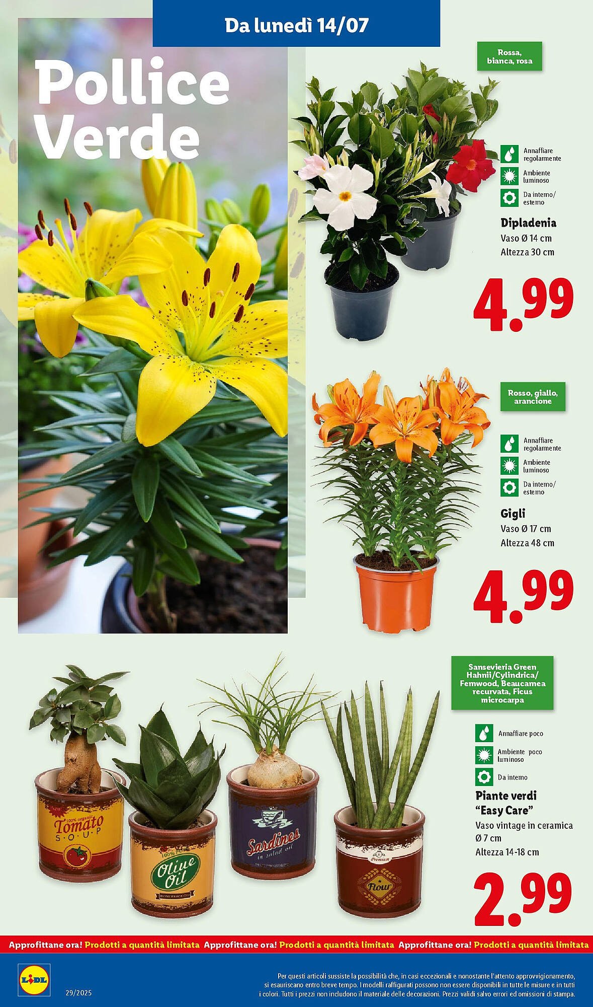 Volantino Lidl (2025-07-13 - 2025-07-20)
