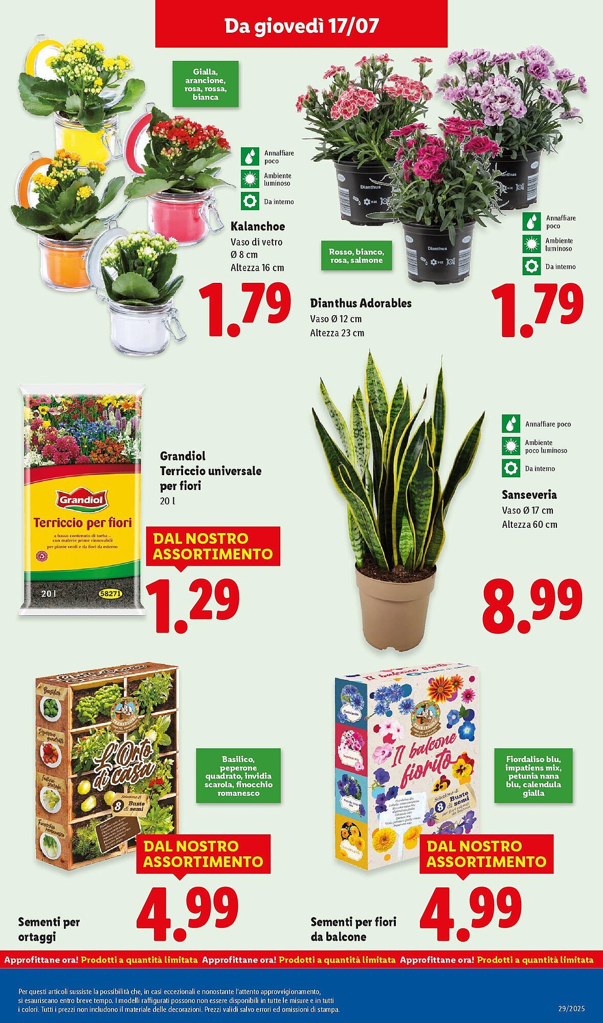 Volantino Lidl (2025-07-13 - 2025-07-20)