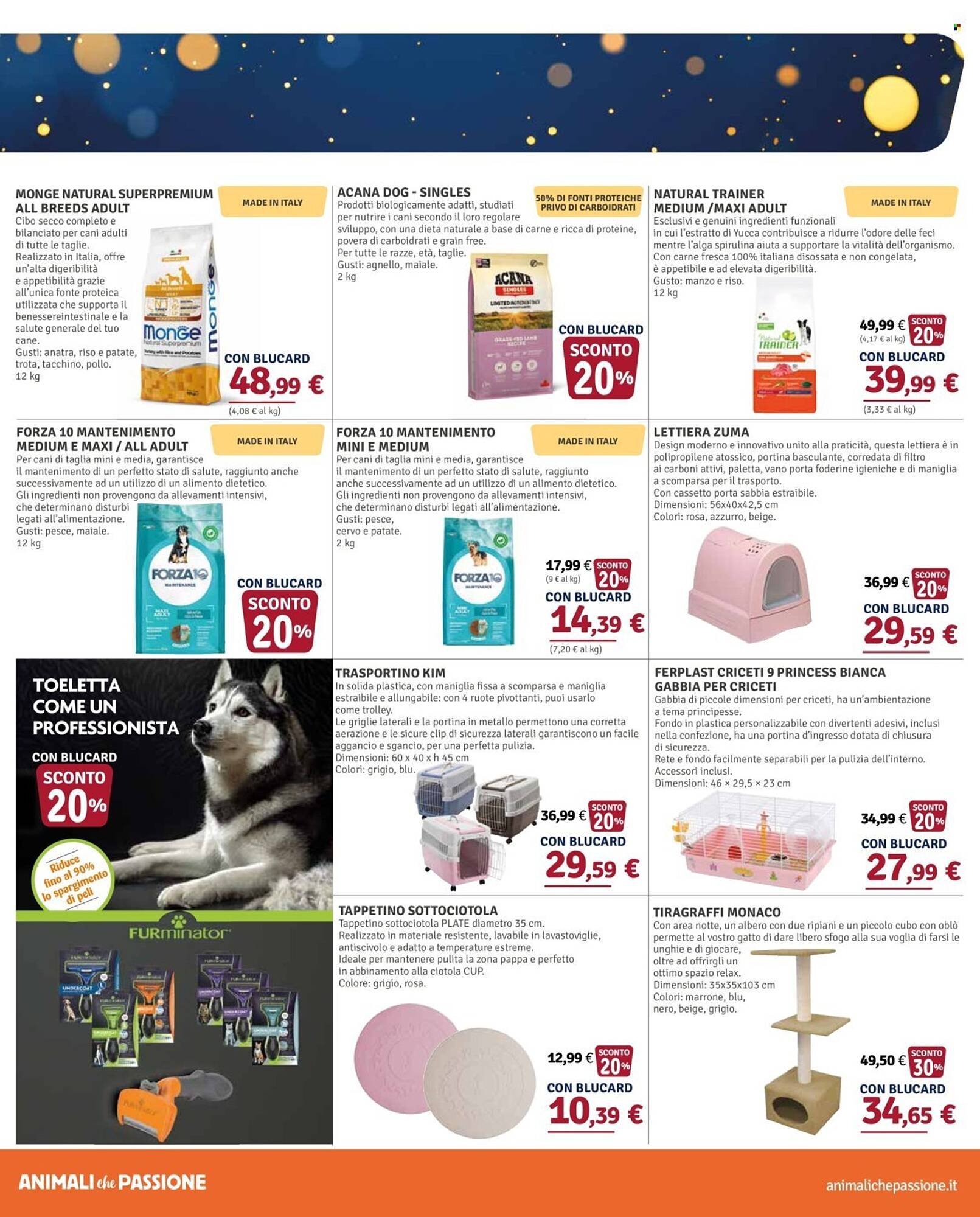 Volantino Il Gigante (2025-11-24 - 2025-12-31)