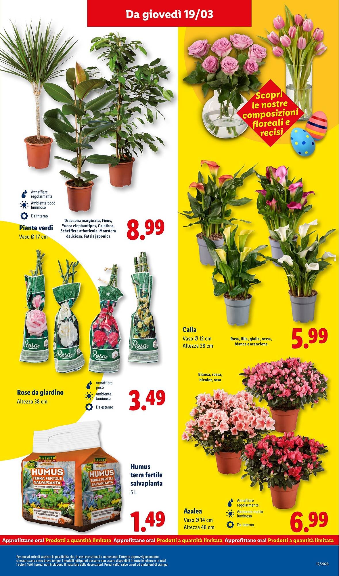 Volantino Lidl (2026-03-16 - 2026-03-22)