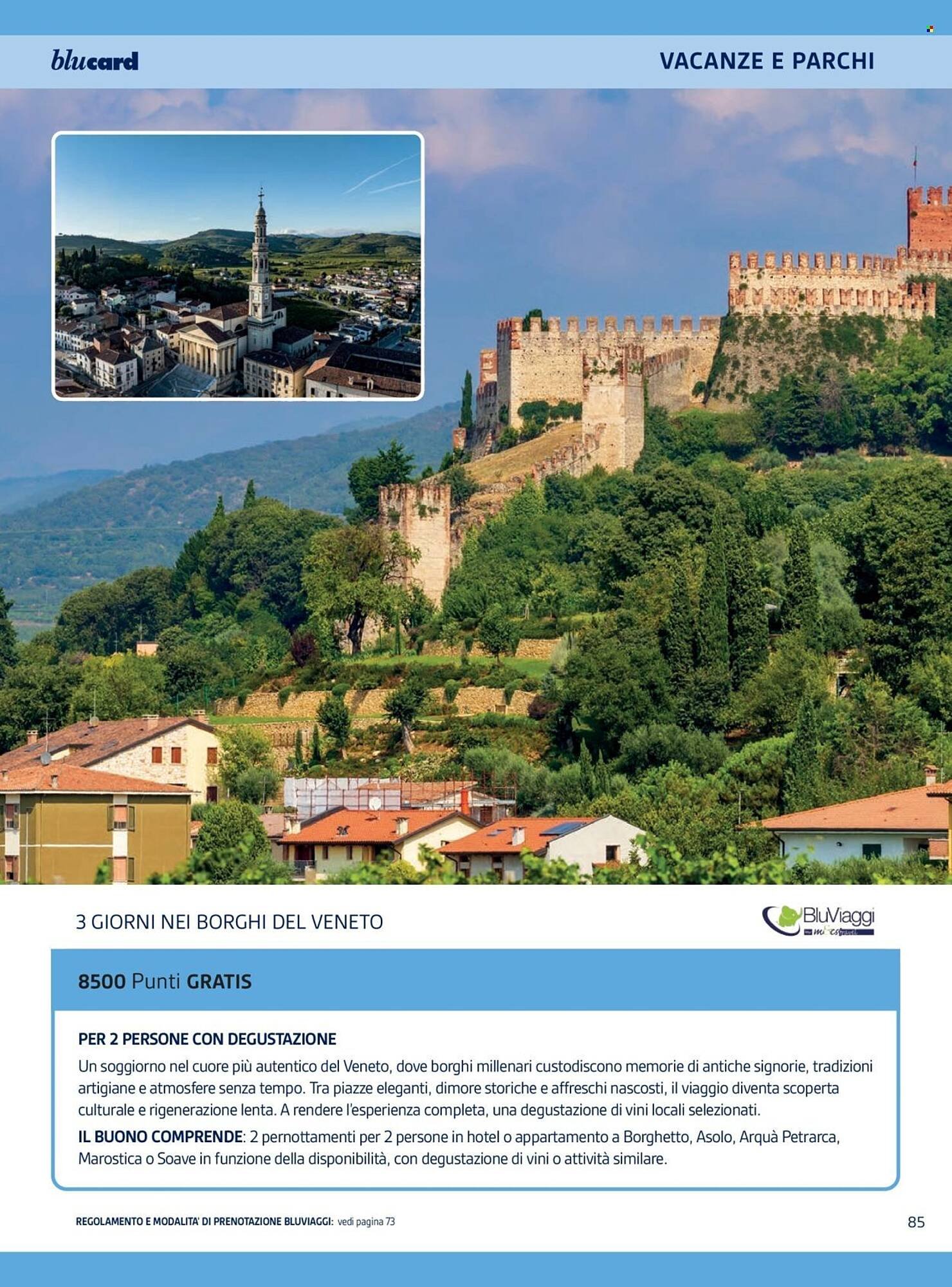 Volantino Il Gigante (2025-11-04 - 2025-11-12)