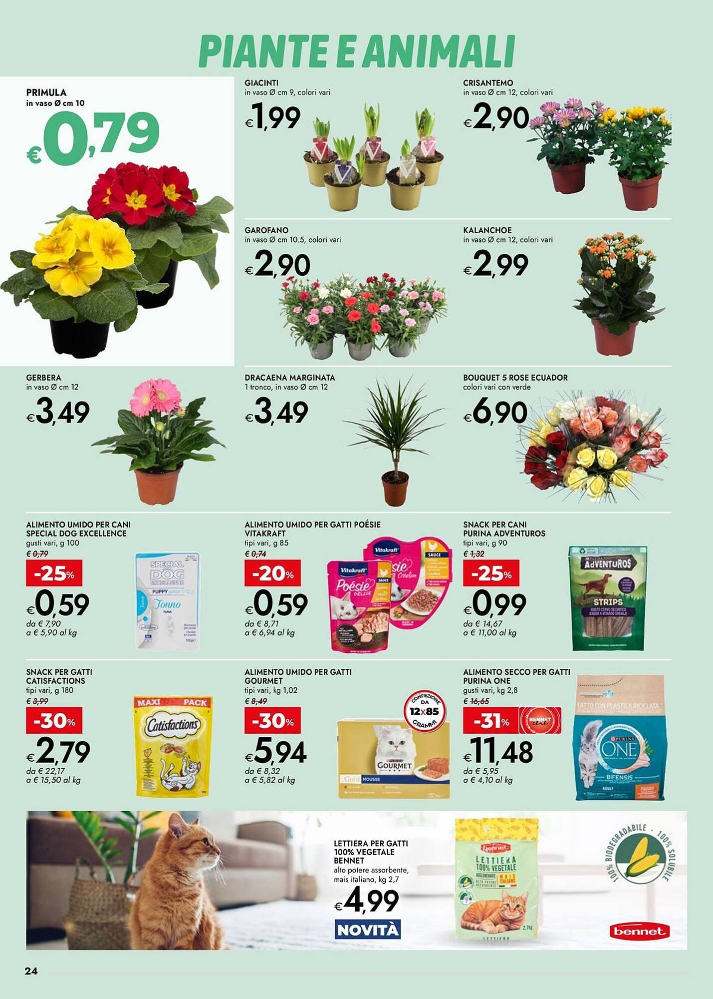 Volantino Bennet (2026-01-15 - 2026-01-28)